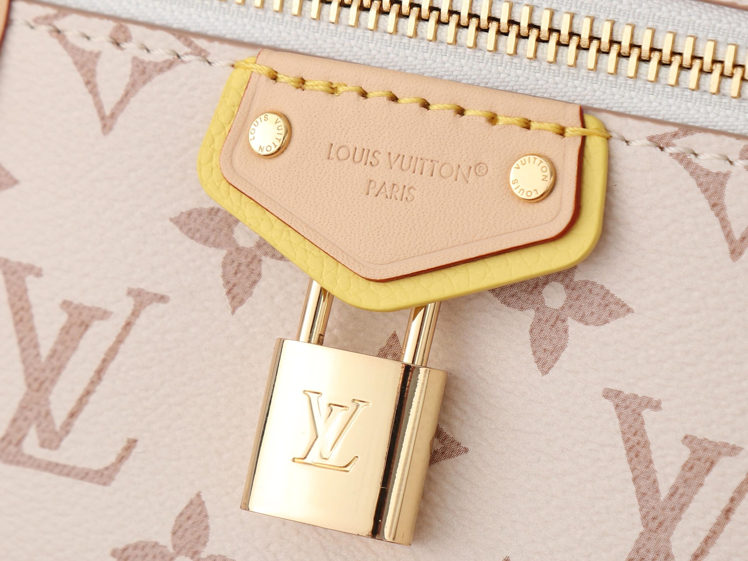 Louis Vuitton Vanity Chain Pouch in Monogram Dune - Image 4