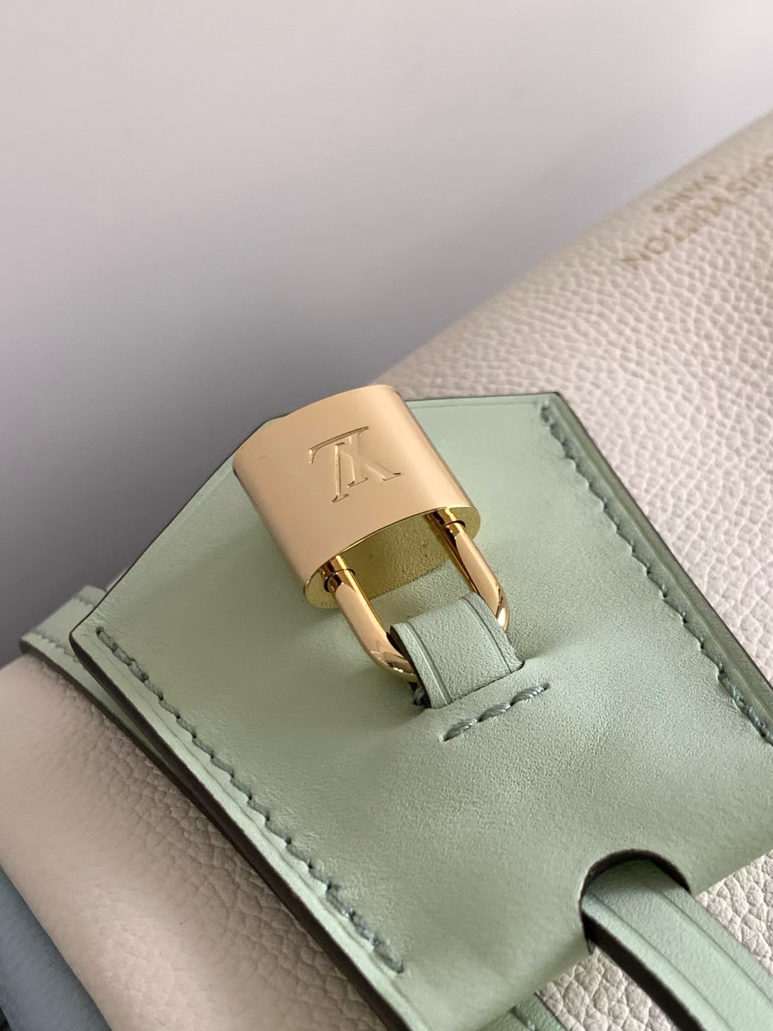 Louis Vuitton Express Small Shoulder Bag - Image 4
