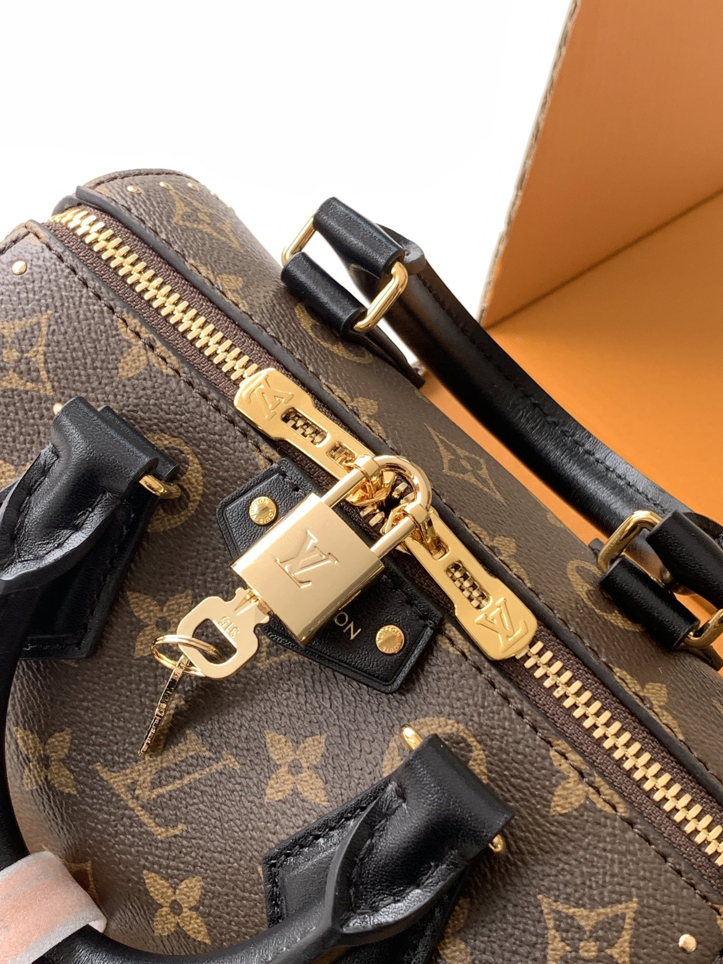 Louis Vuitton Speedy Trunk Crossbody Bag - Image 4