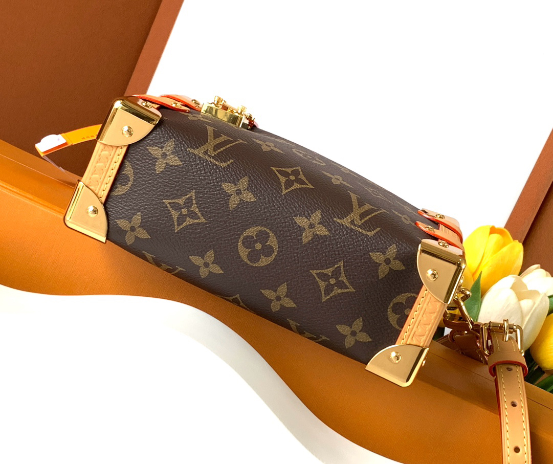 Louis Vuitton Side Trunk Small Crossbody Bag - Image 4