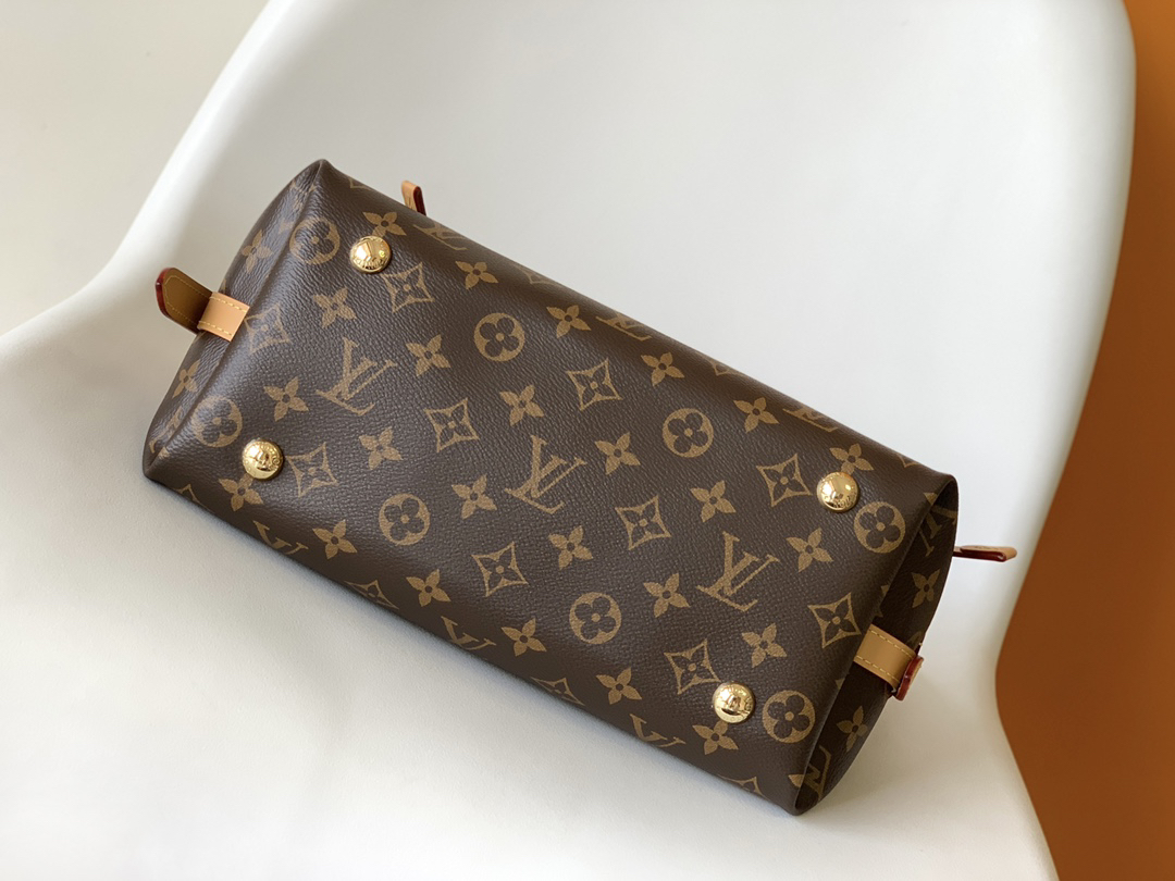 Louis Vuitton CarryAll Small Bag M46203 - Image 4