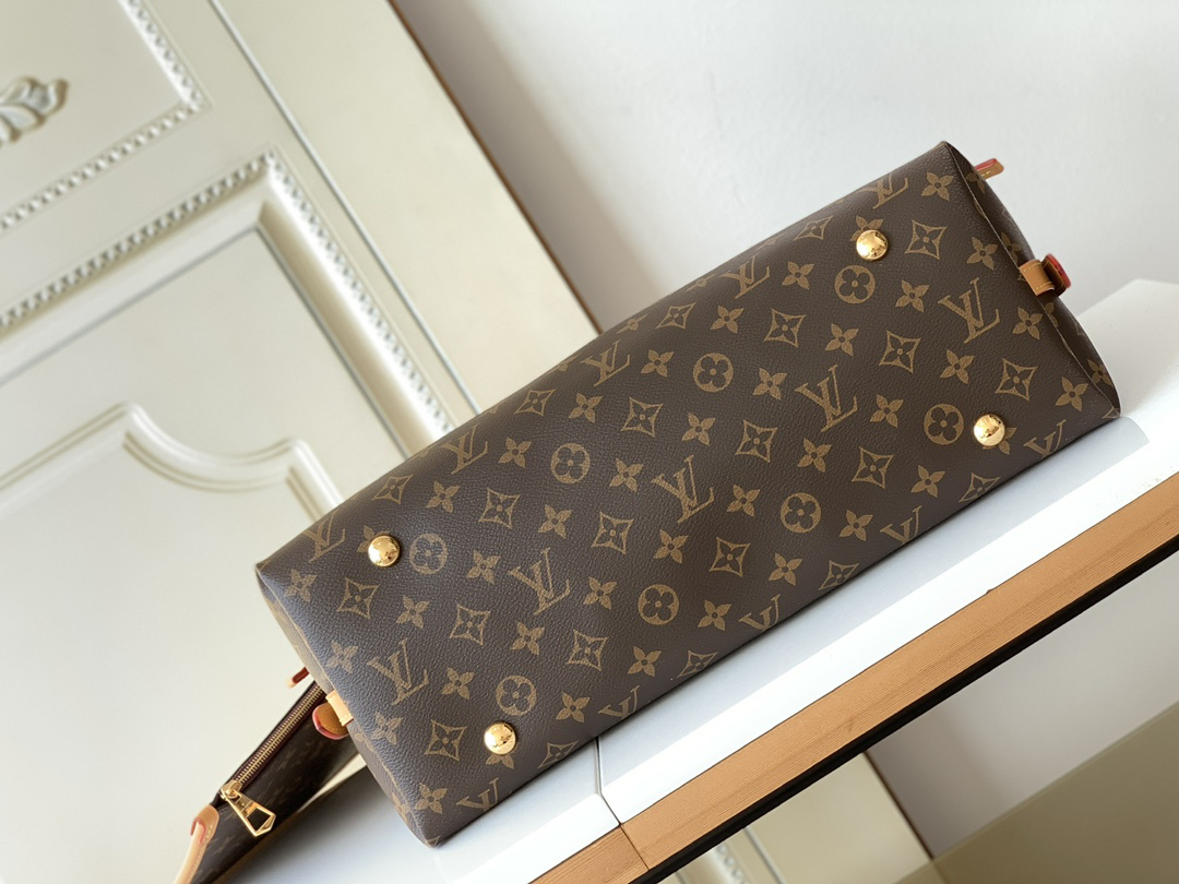 Louis Vuitton CarryAll MM Handbag M46197 - Image 4
