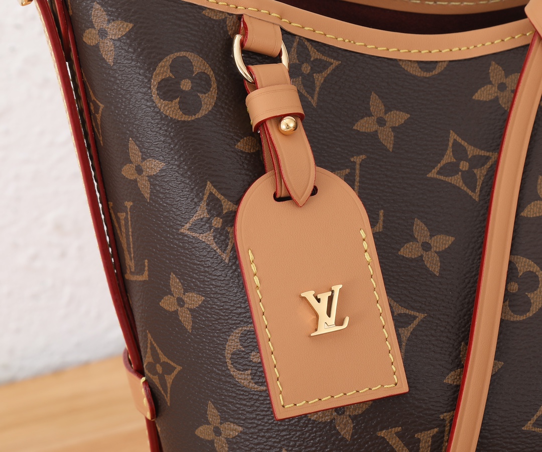 Louis Vuitton CarryAll PM Handbag M46203 - Image 4