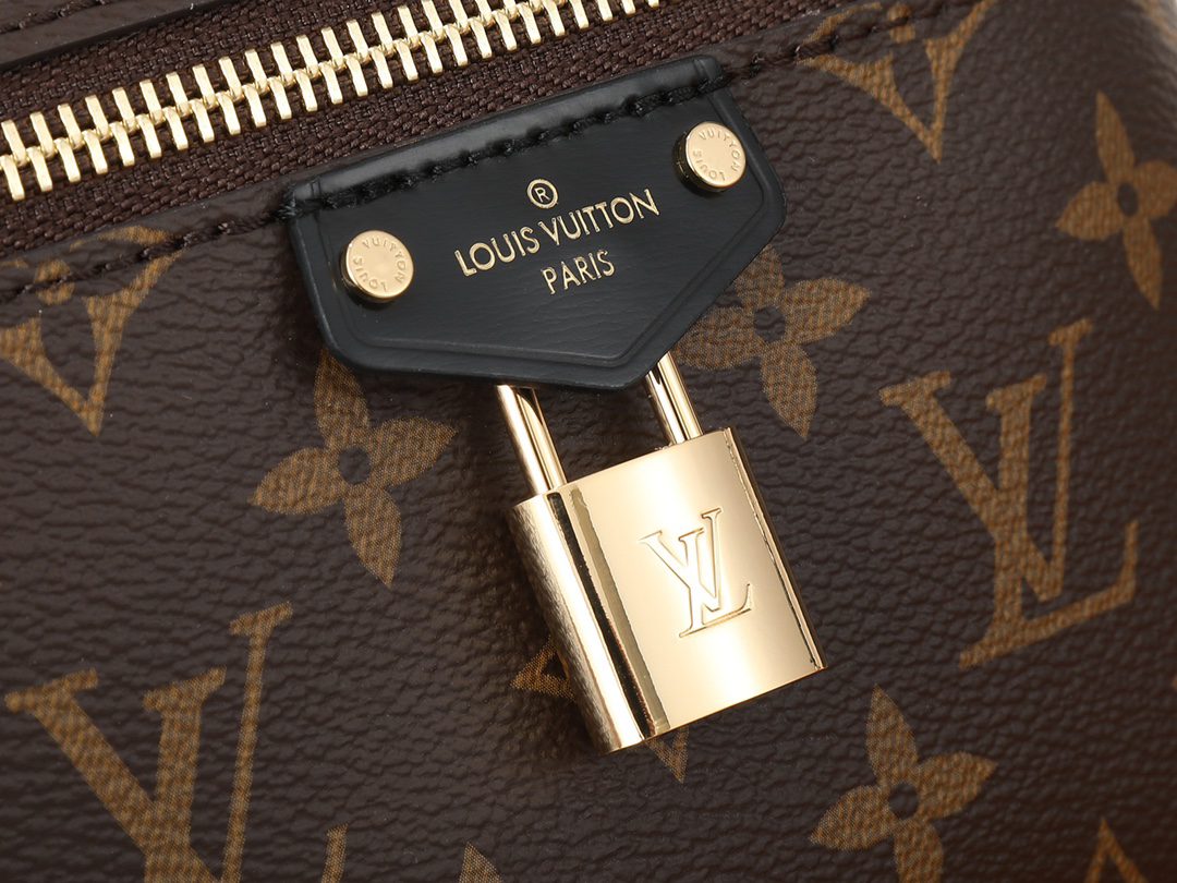 Louis Vuitton Vanity Chain Handbag M47125 - Image 4
