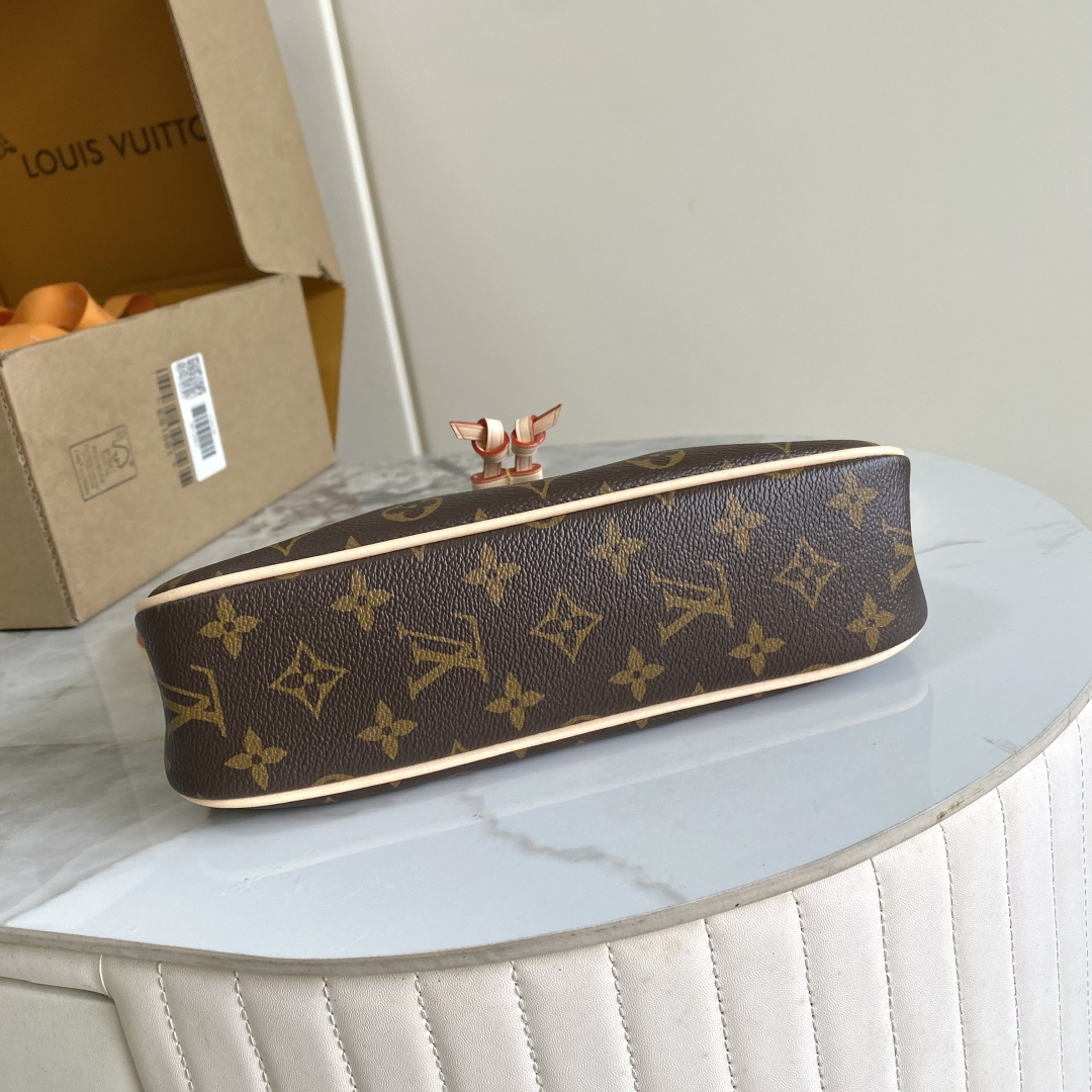 Louis Vuitton Nano Frivole Monogram East-West Handbag - Image 4