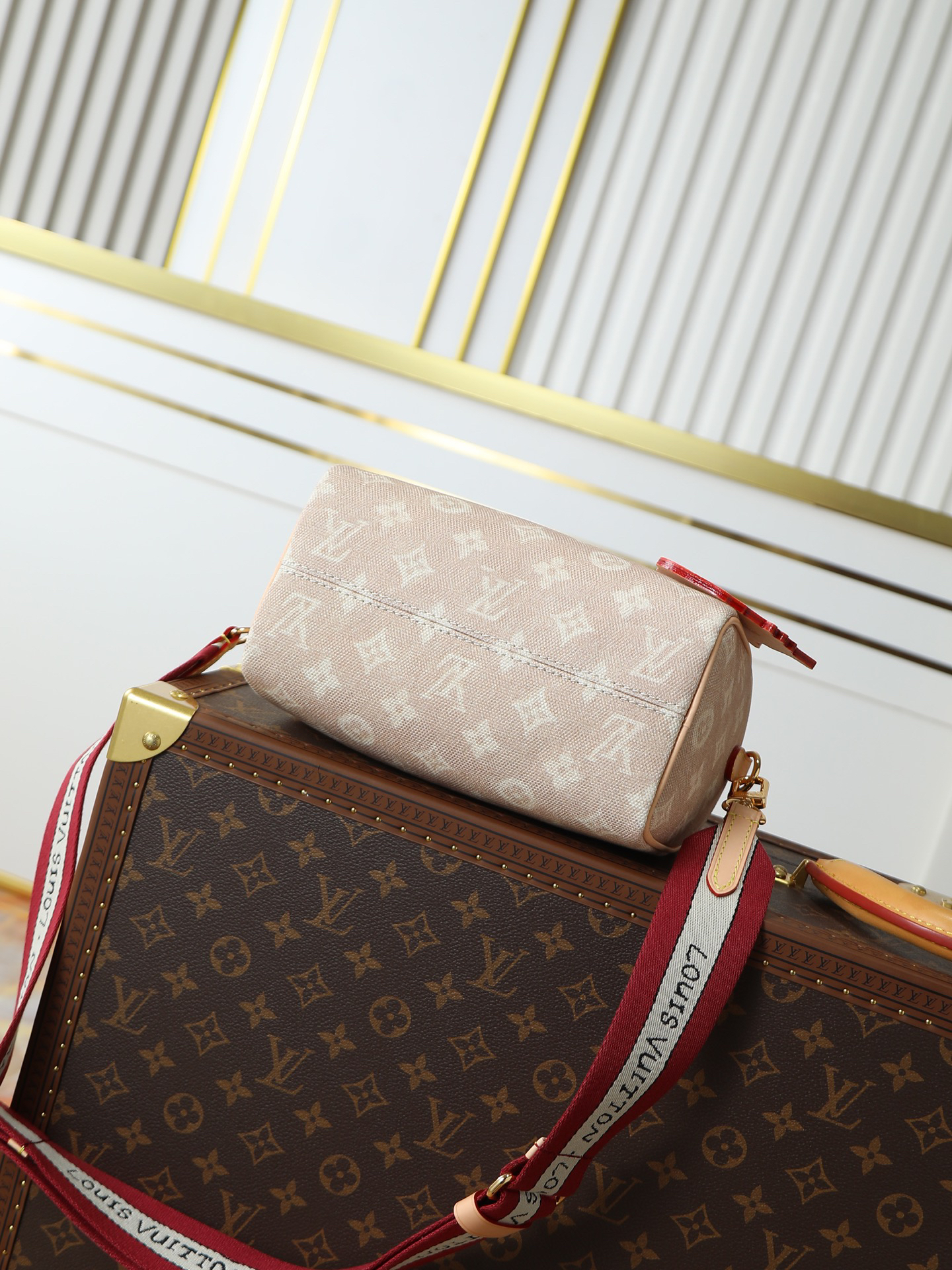 Louis Vuitton Speedy 20 Bandoulière Meowgram Handbag - Image 4