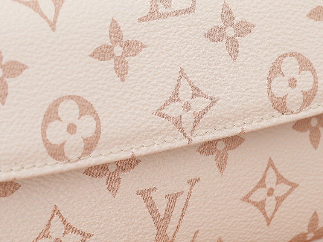 Louis Vuitton Wallet On Chain Ivy in Monogram Dune Canvas - Image 4
