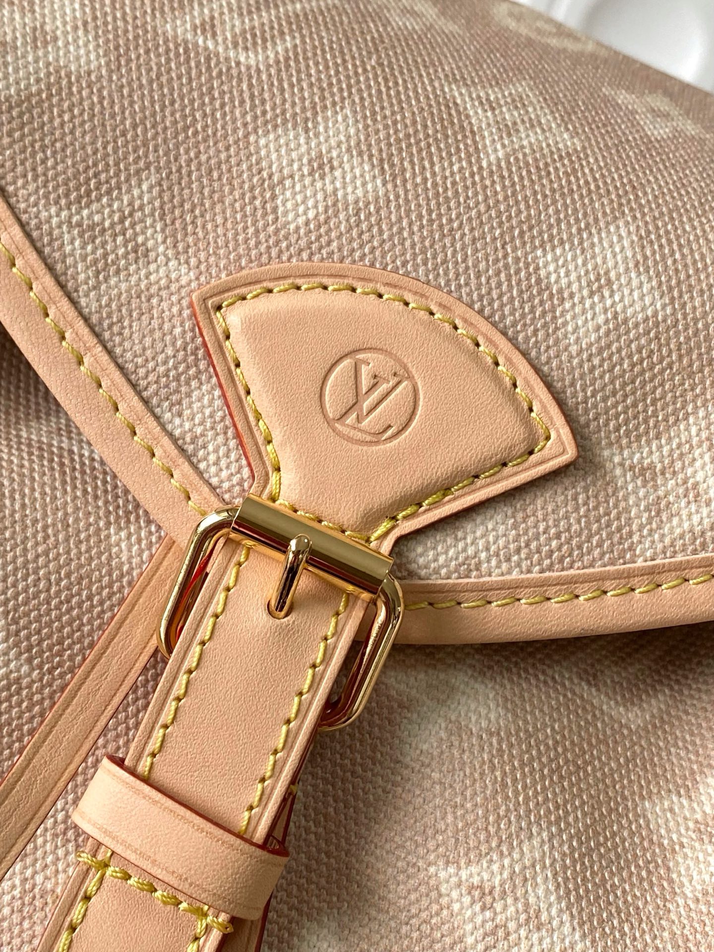 Louis Vuitton Montsouris Small Backpack in Meowgram Canvas - Image 4