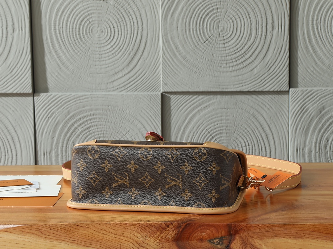 Louis Vuitton Diane Monogram Canvas Shoulder Bag M45985 - Image 4