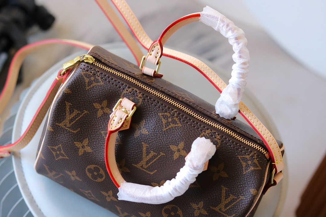 Louis Vuitton Nano Speedy Monogram Canvas Crossbody Bag - Image 4