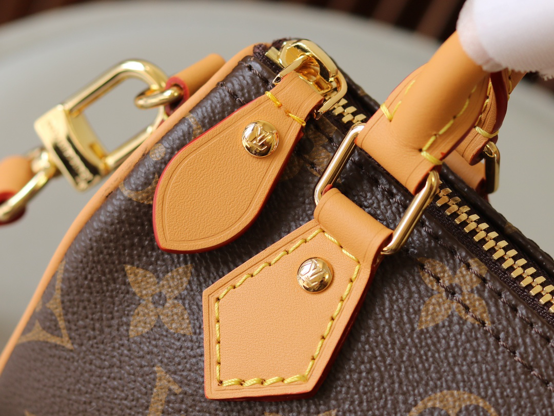 Louis Vuitton Nano Speedy Monogram Canvas Crossbody Bag - Image 4