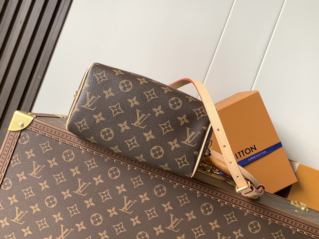 Louis Vuitton Speedy Bandoulière 20 Monogram Crossbody Bag - Image 4