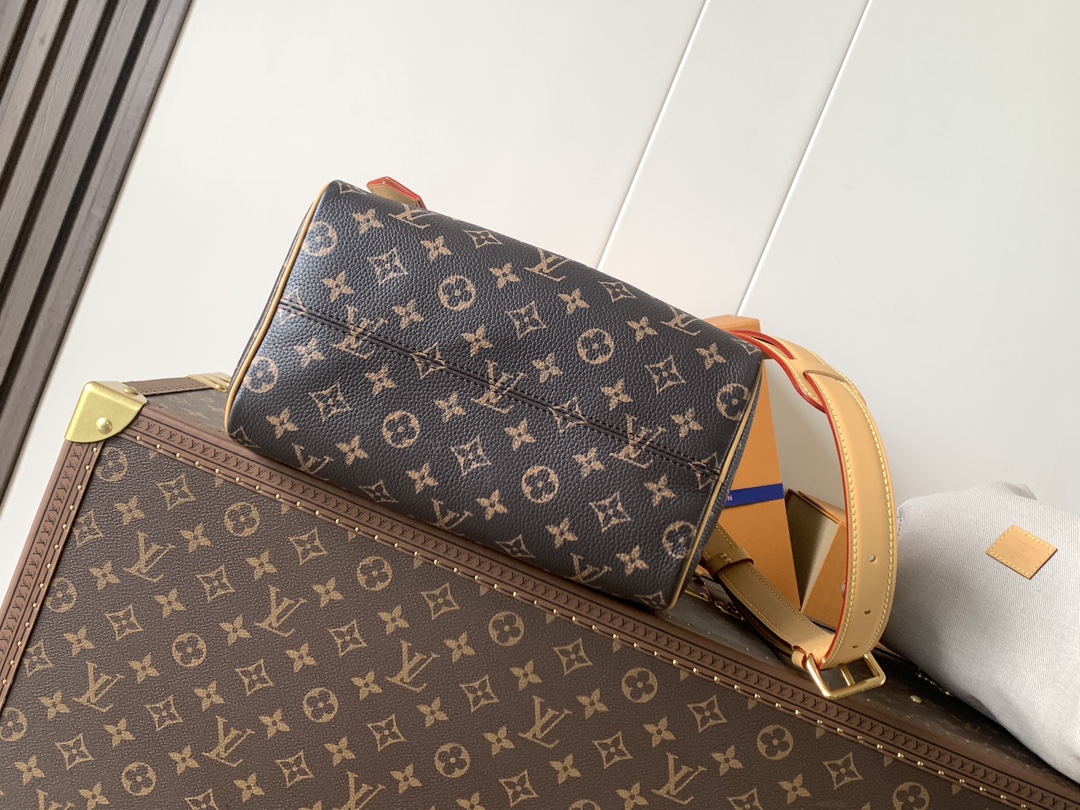 Louis Vuitton Speedy Bandoulière 25 Monogram M24443 - Image 4