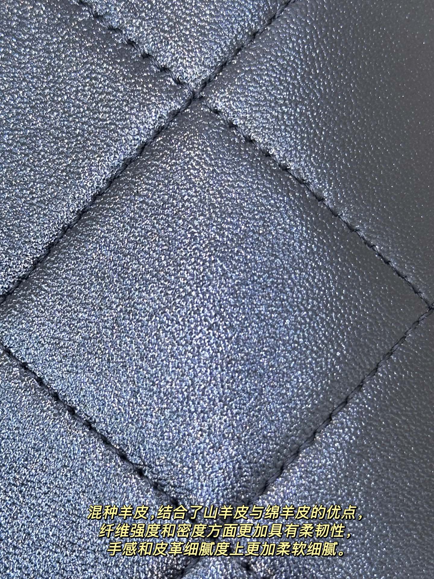 Chanel Workshop Series Deer Leather Handbag - Image 4