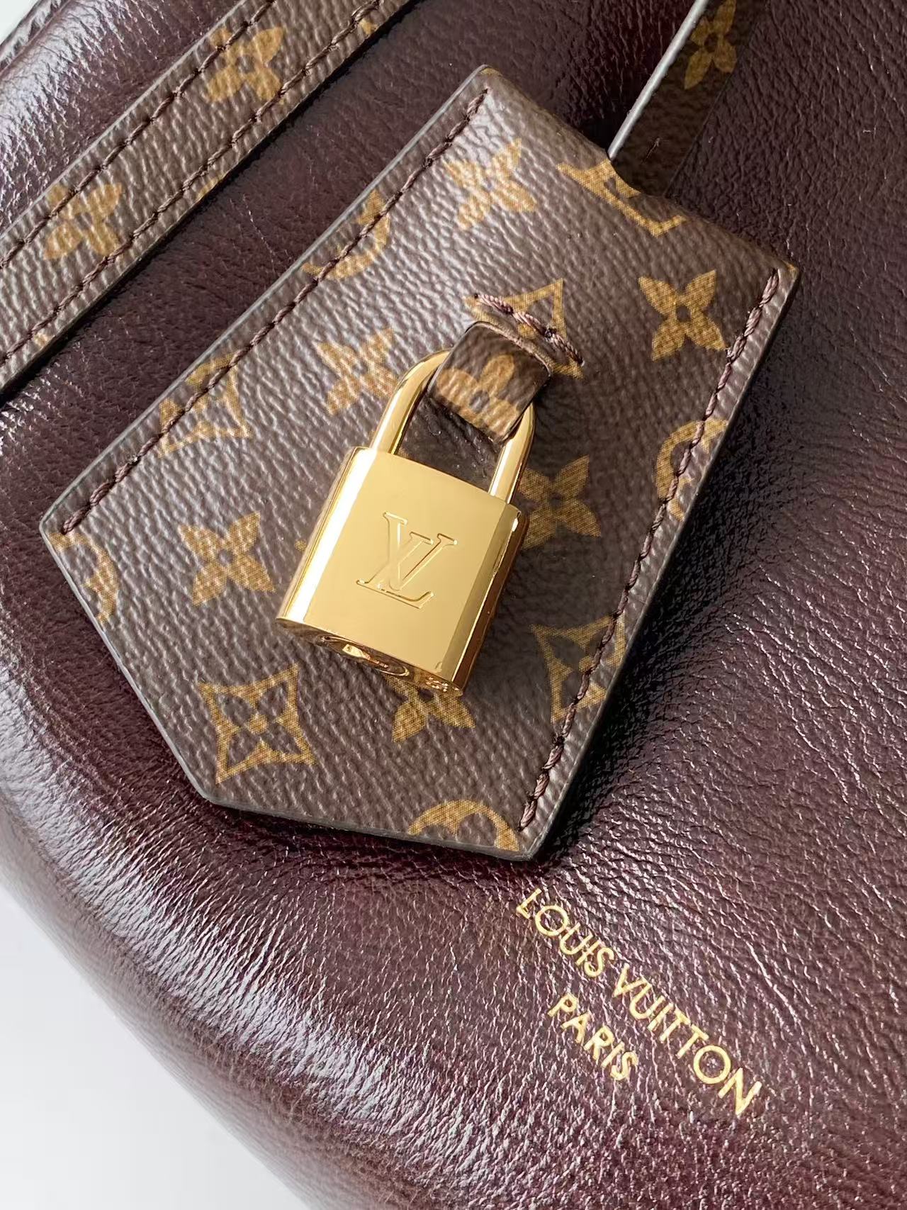 Louis Vuitton Exess Small Handbag with Monogram Trim - Image 5