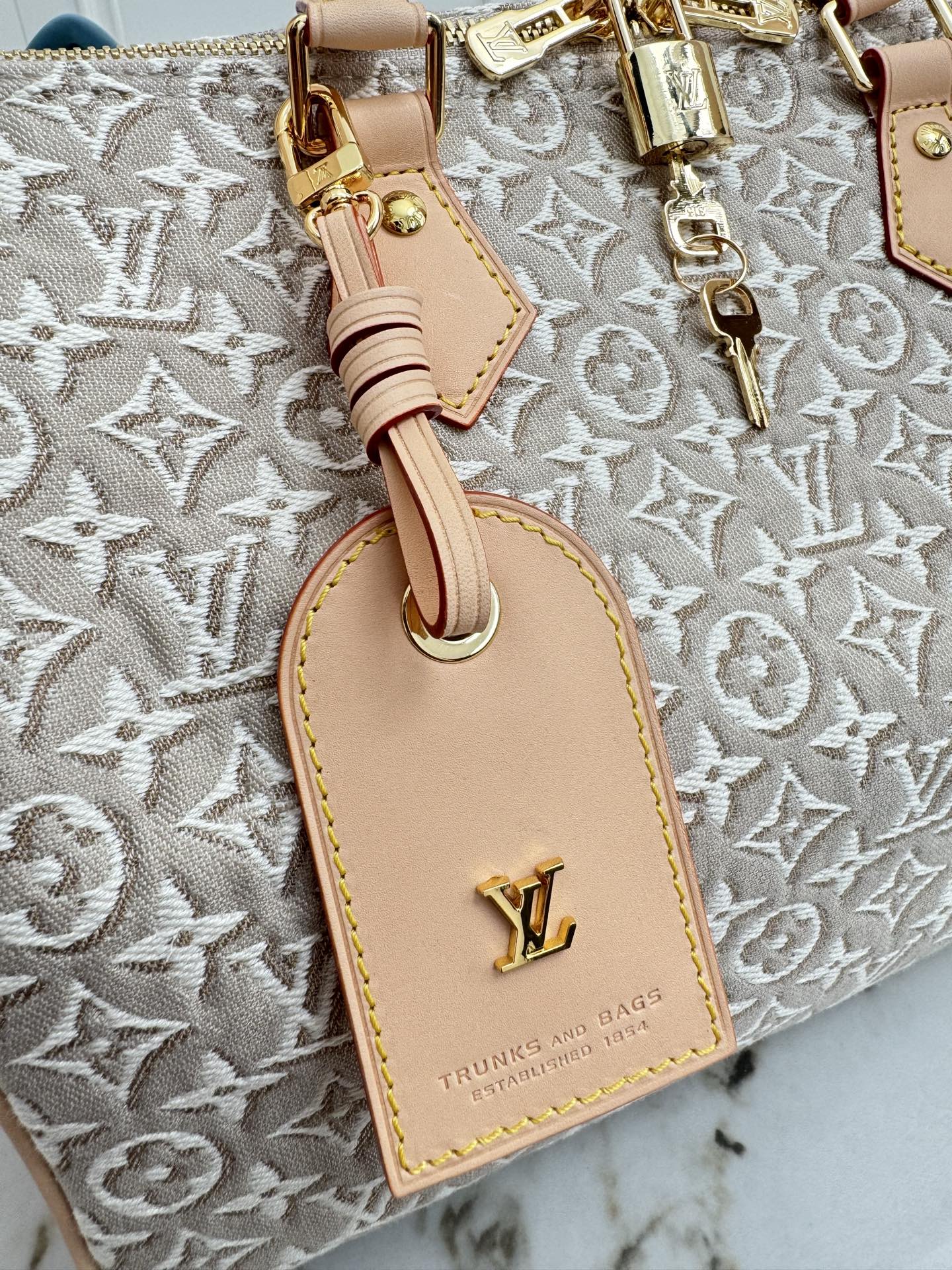 Louis Vuitton Sedy Soft 30 Handbag in White Monogram Emblème Denim - Image 5