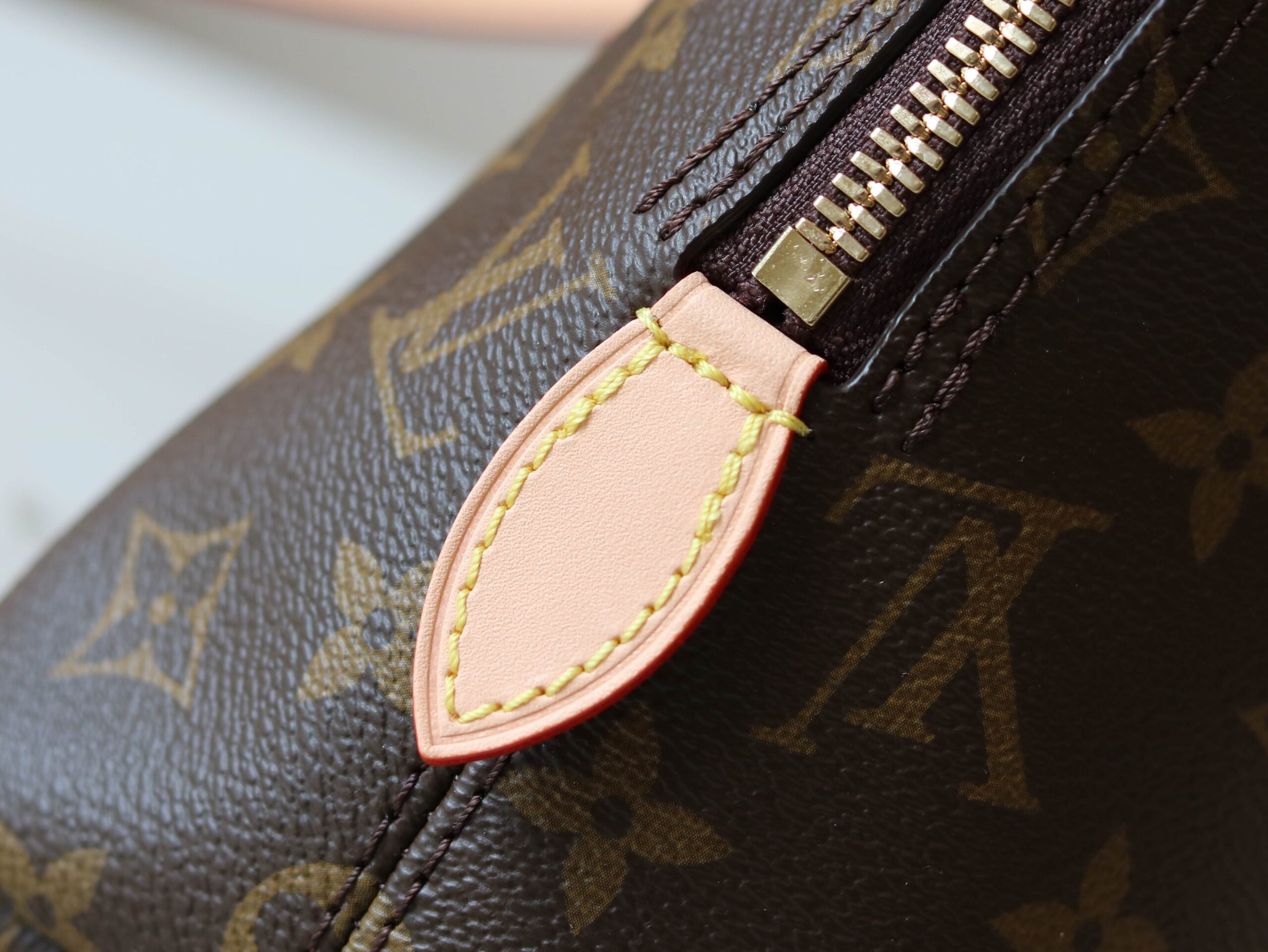 Squire Handbag in Monogram Canvas - Image 5