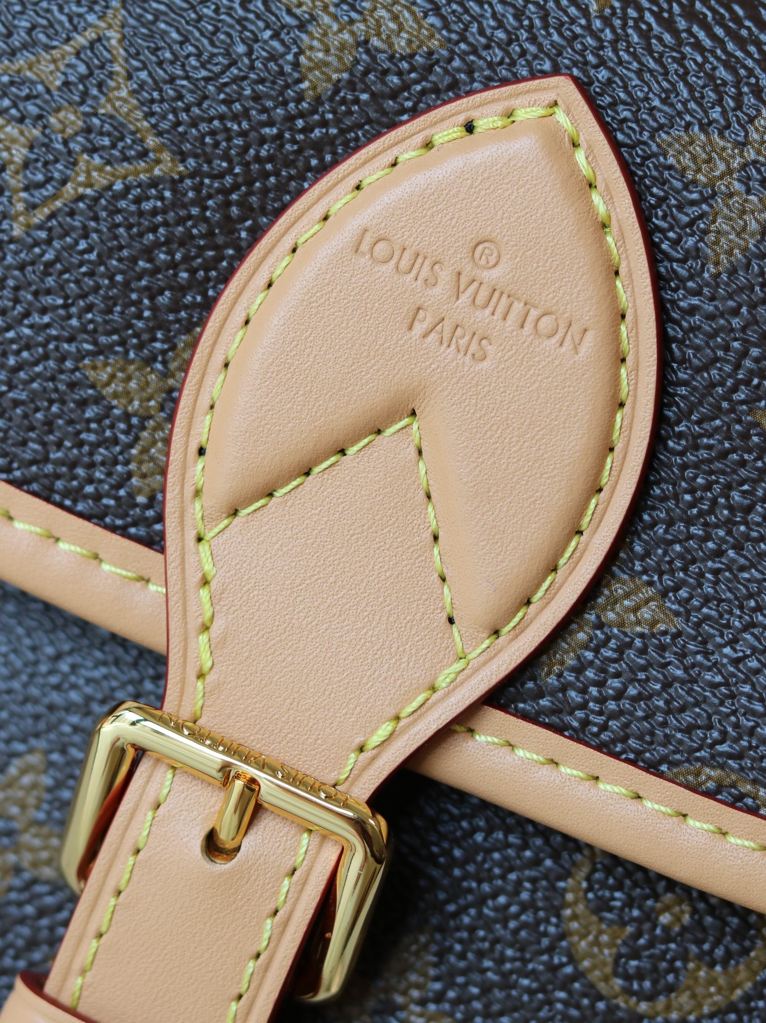 Louis Vuitton Diane Monogram Crossbody Bag - Image 5