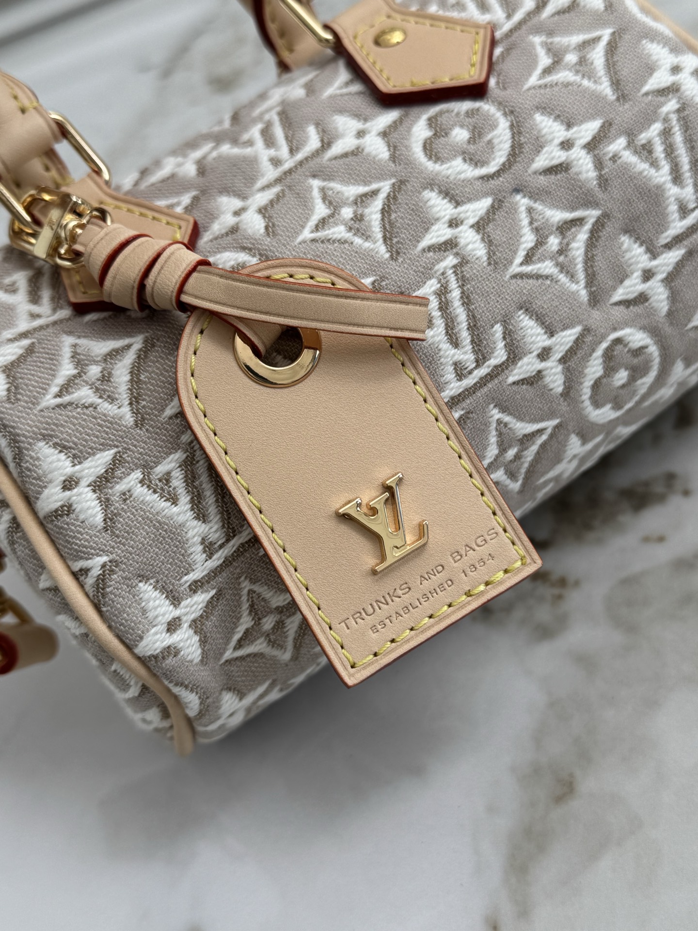 Louis Vuitton Nano Speedy Monogram Embleme Canvas Handbag - Image 5