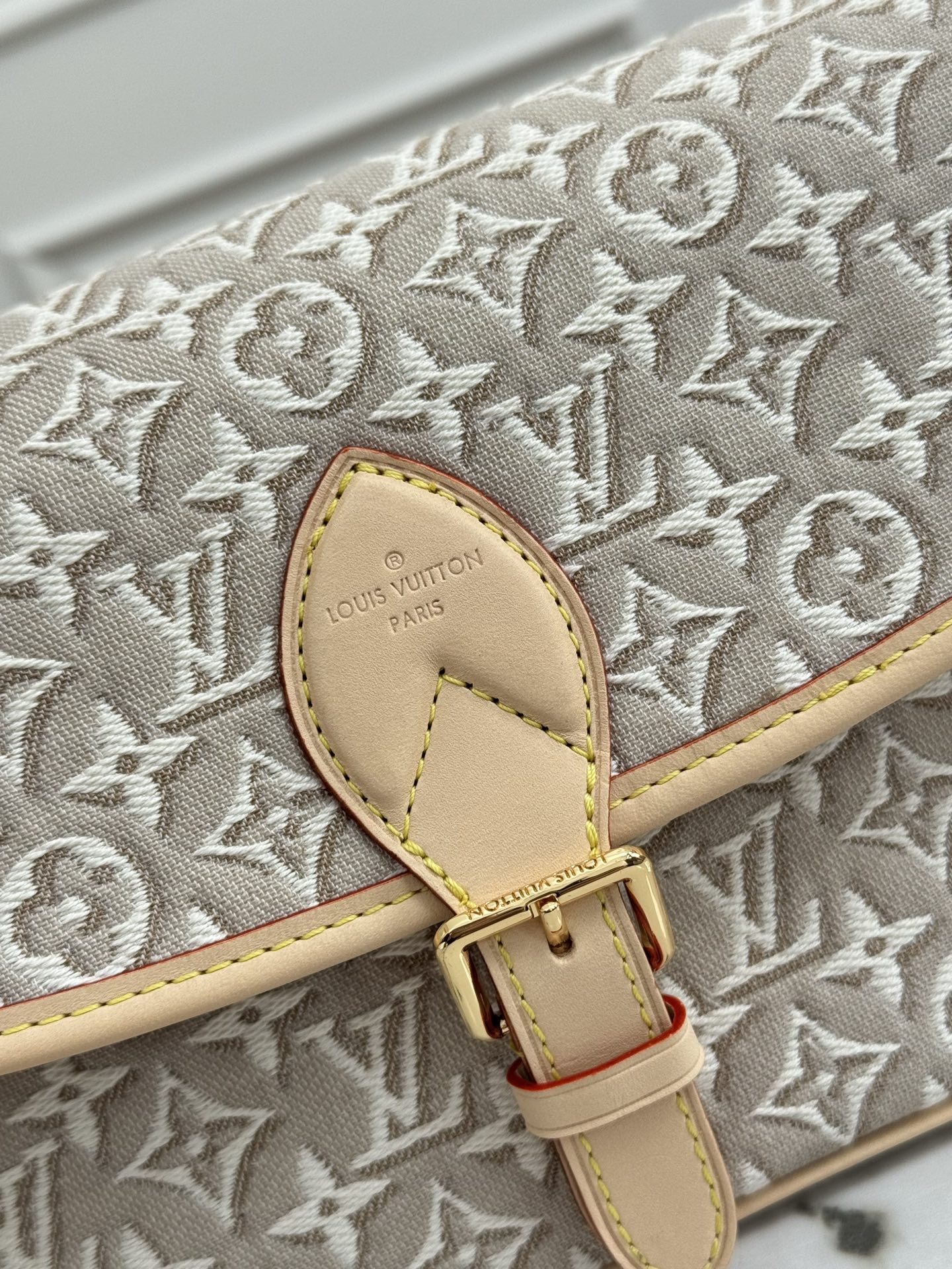 Diane Monogram Denim Crossbody Bag - Image 5