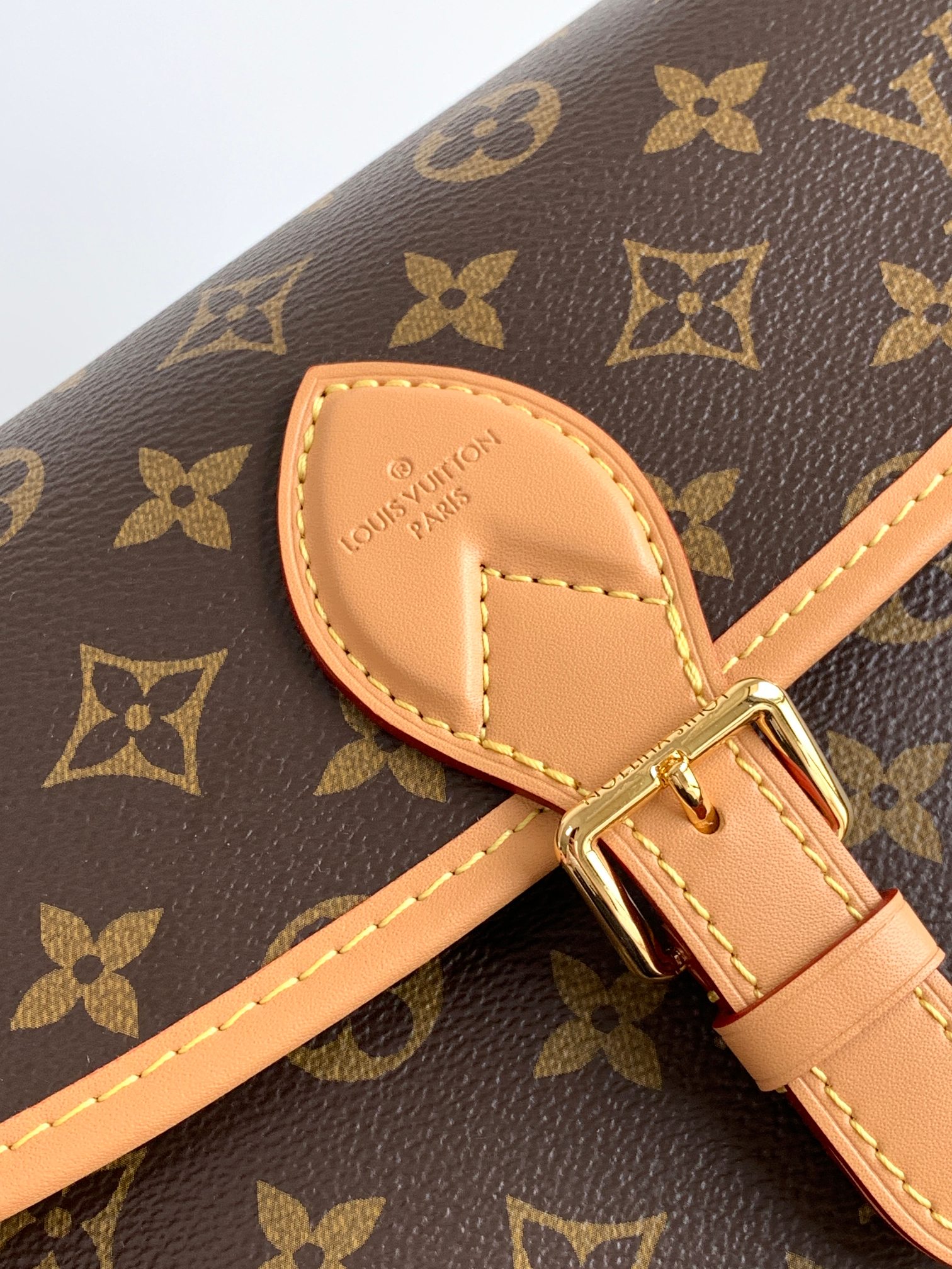 Louis Vuitton Diane Crossbody Bag in Black Monogram Canvas - Image 5