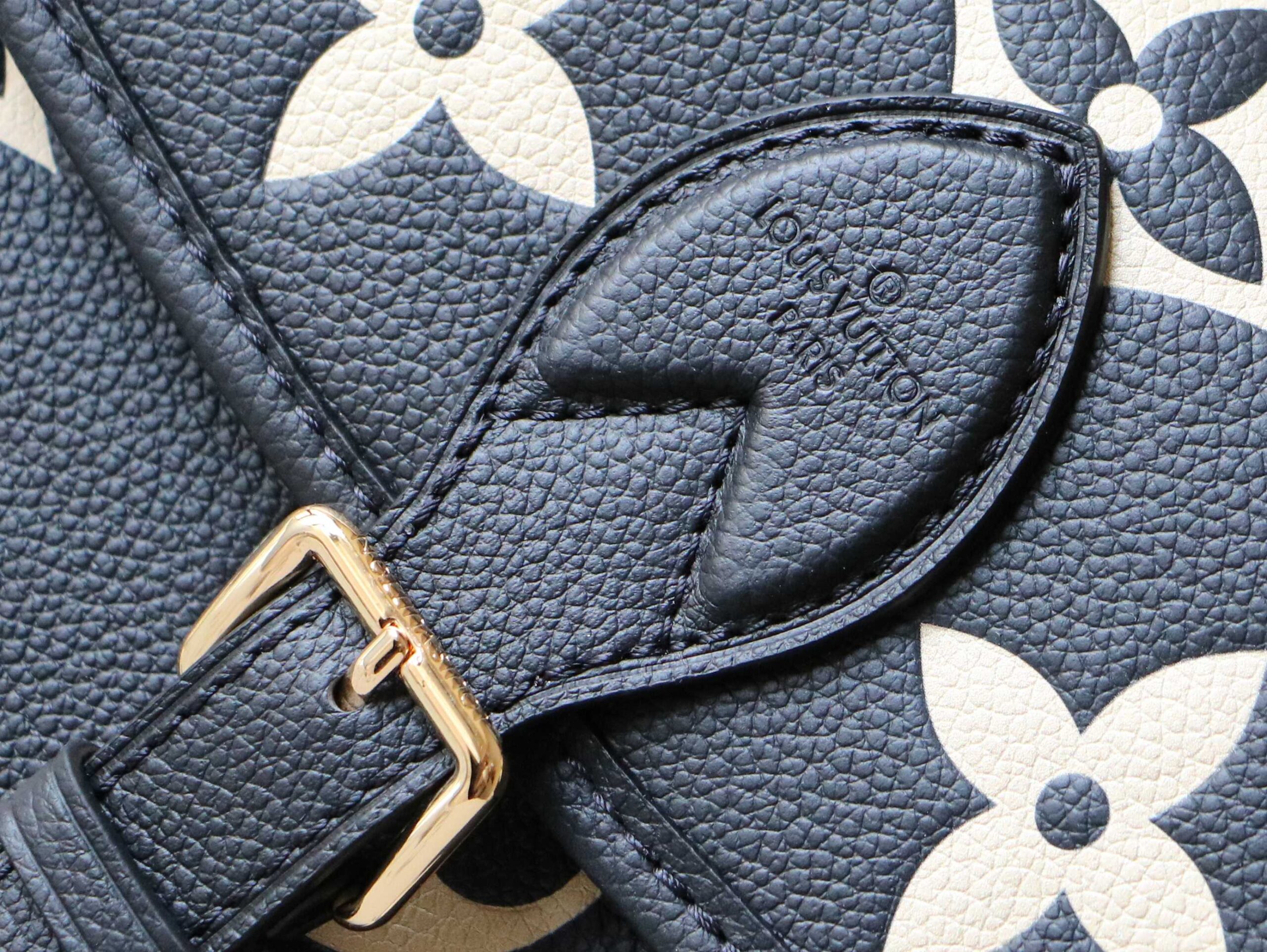 Louis Vuitton Diane Monogram Empreinte Crossbody Bag - Image 5