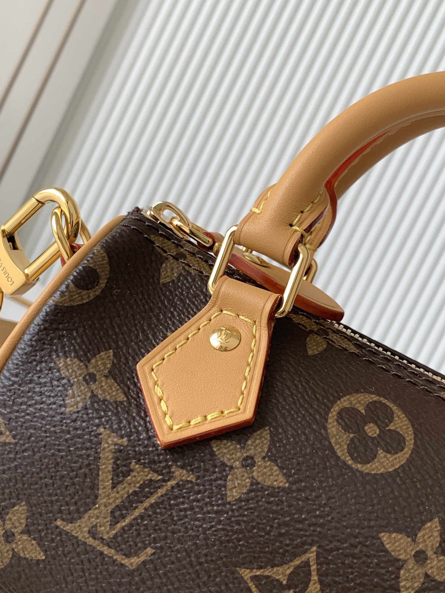 Nano Speedy Monogram Canvas Crossbody Bag - Image 5