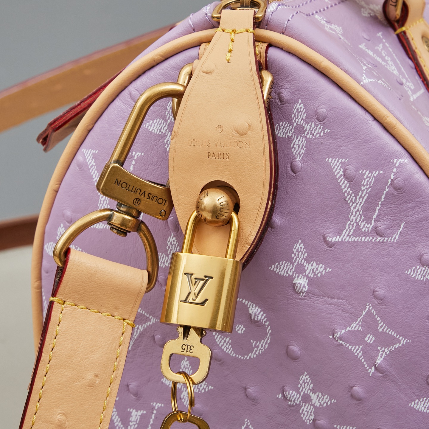 Louis Vuitton Speedy Bandouliere 25 Monogram Leather Crossbody Bag - Image 5