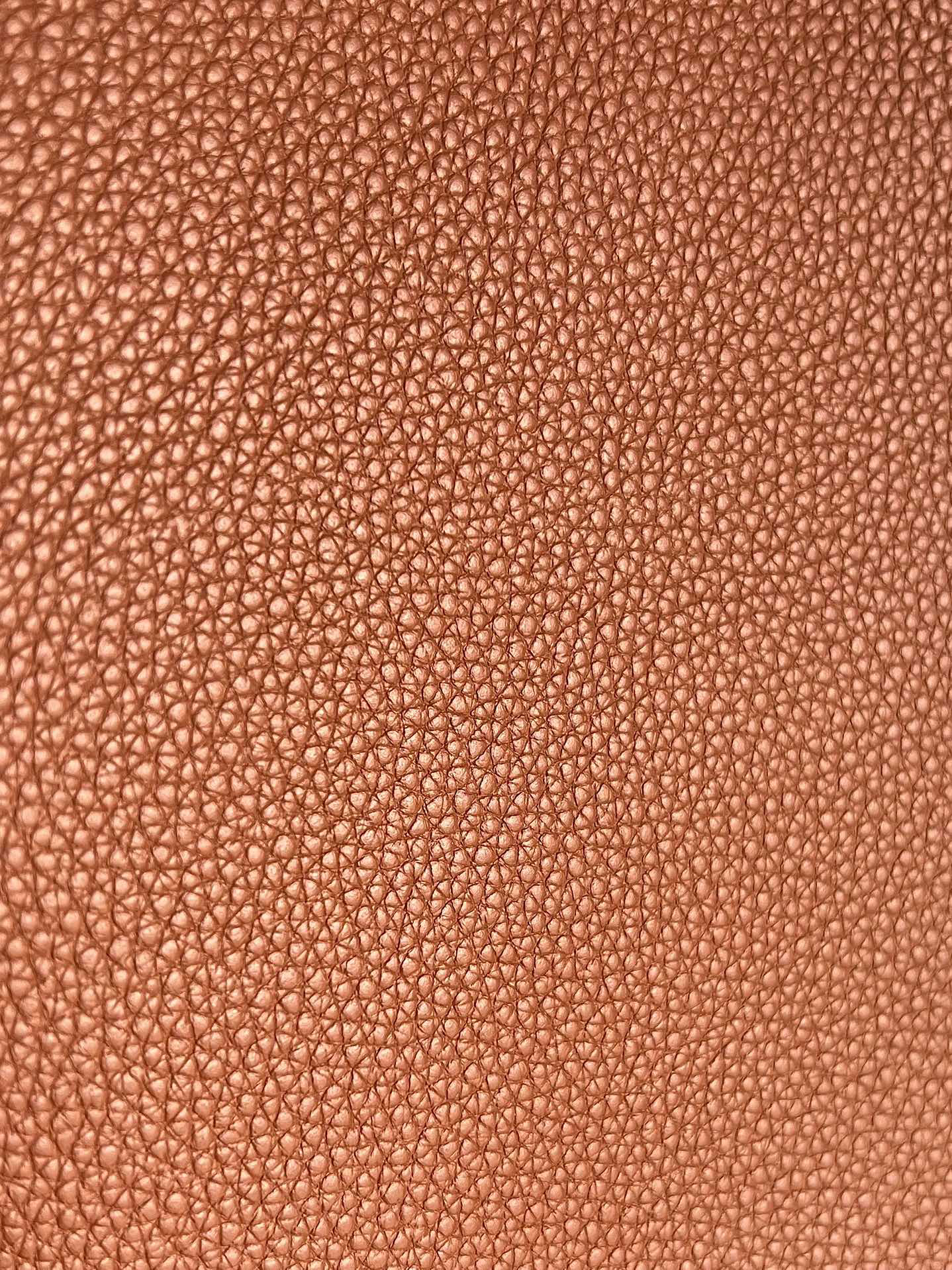 Celine CUIR Series CABAS Anaïs Grained Calfskin Tote Bag - Image 5