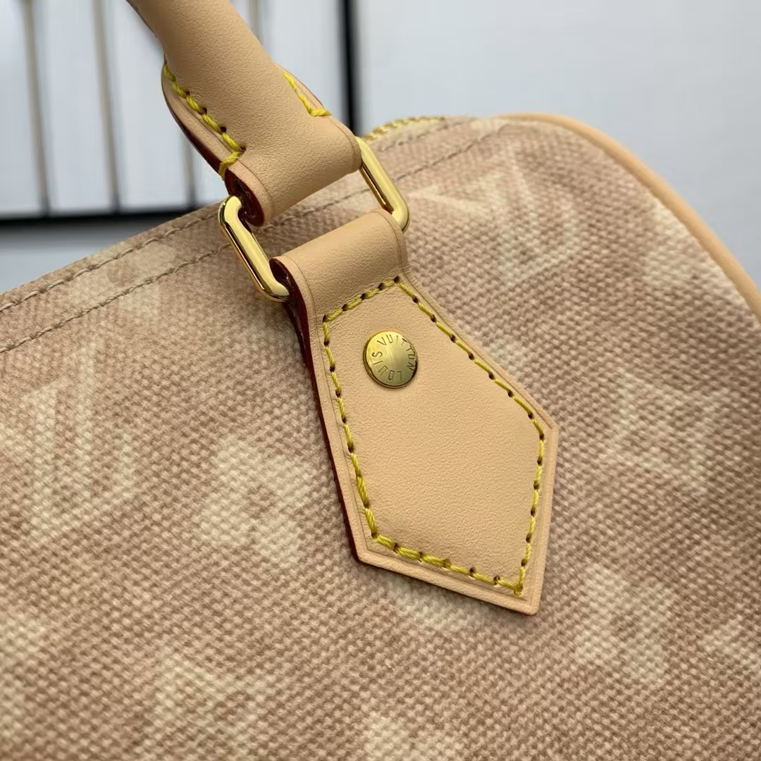 Louis Vuitton Speedy 20 Bandouliere Meowgram Crossbody Bag - Image 5