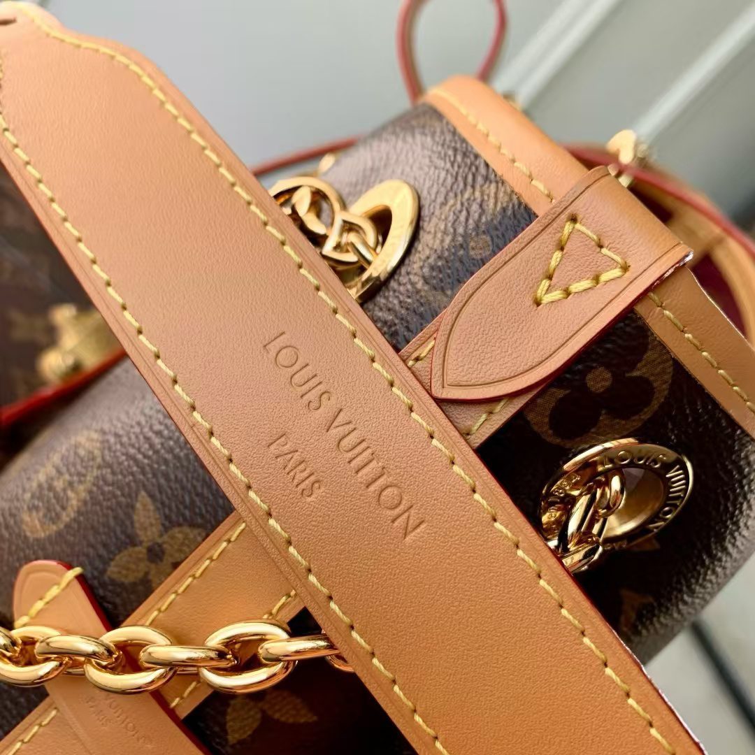 Louis Vuitton CarryAll BB Monogram Handbag - Image 5