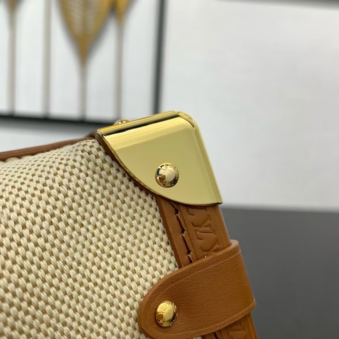 Louis Vuitton Side Trunk Medium Handbag in Natural Canvas - Image 5