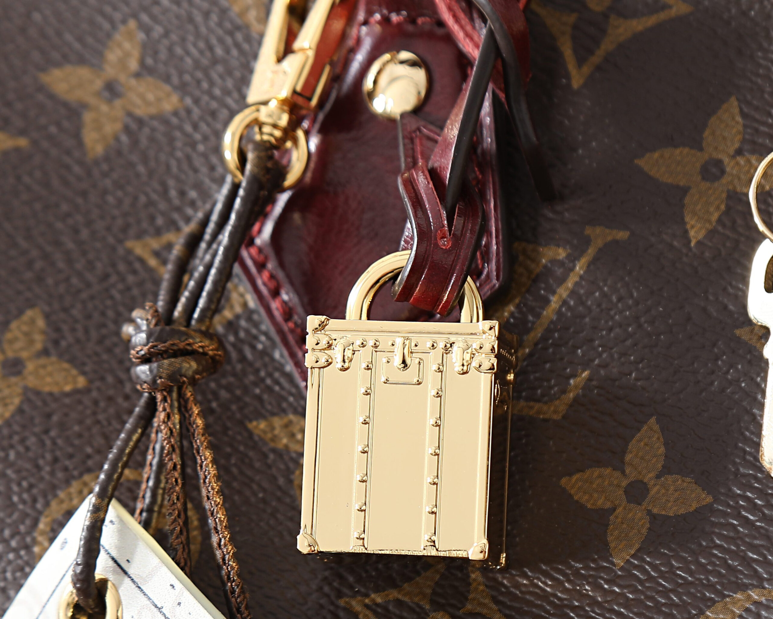 Louis Vuitton Speedy Soft 30 Monogram Anniversary Handbag - Image 5