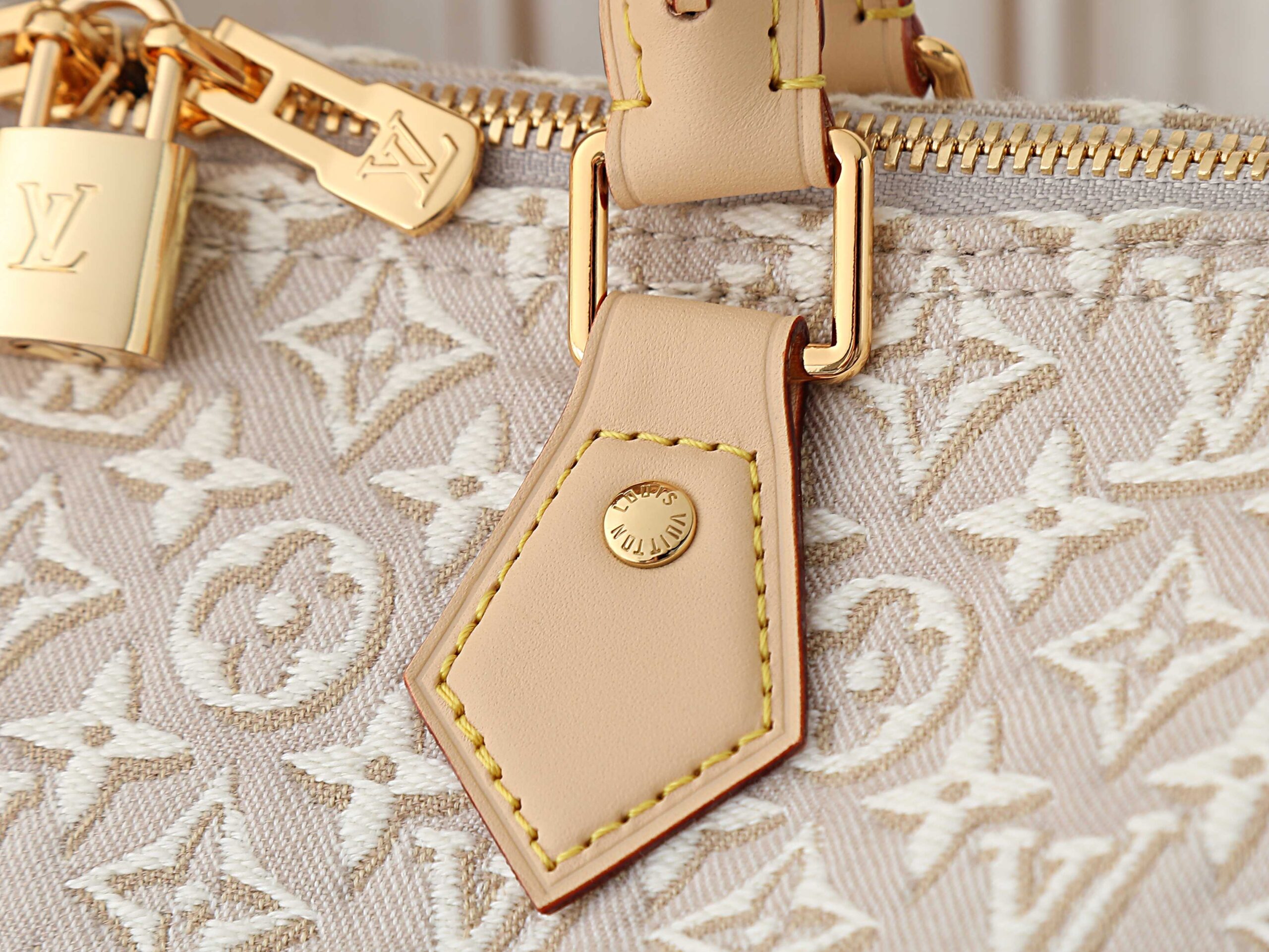 Speedy Soft 30 Handbag in Monogram Emblème Canvas - Image 5