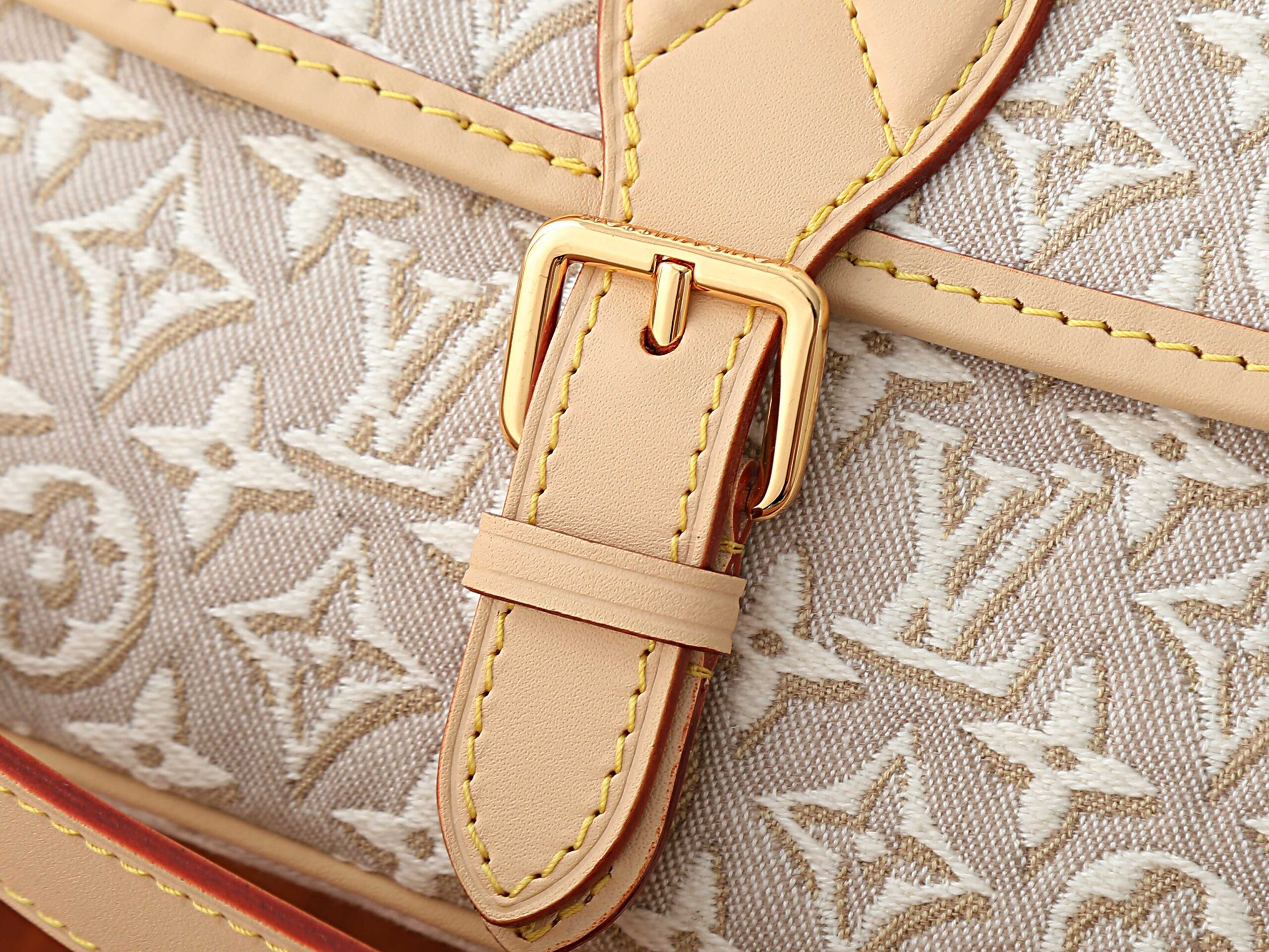 Louis Vuitton Diane Shoulder Bag in Monogram Emblème Jacquard Canvas - Image 5