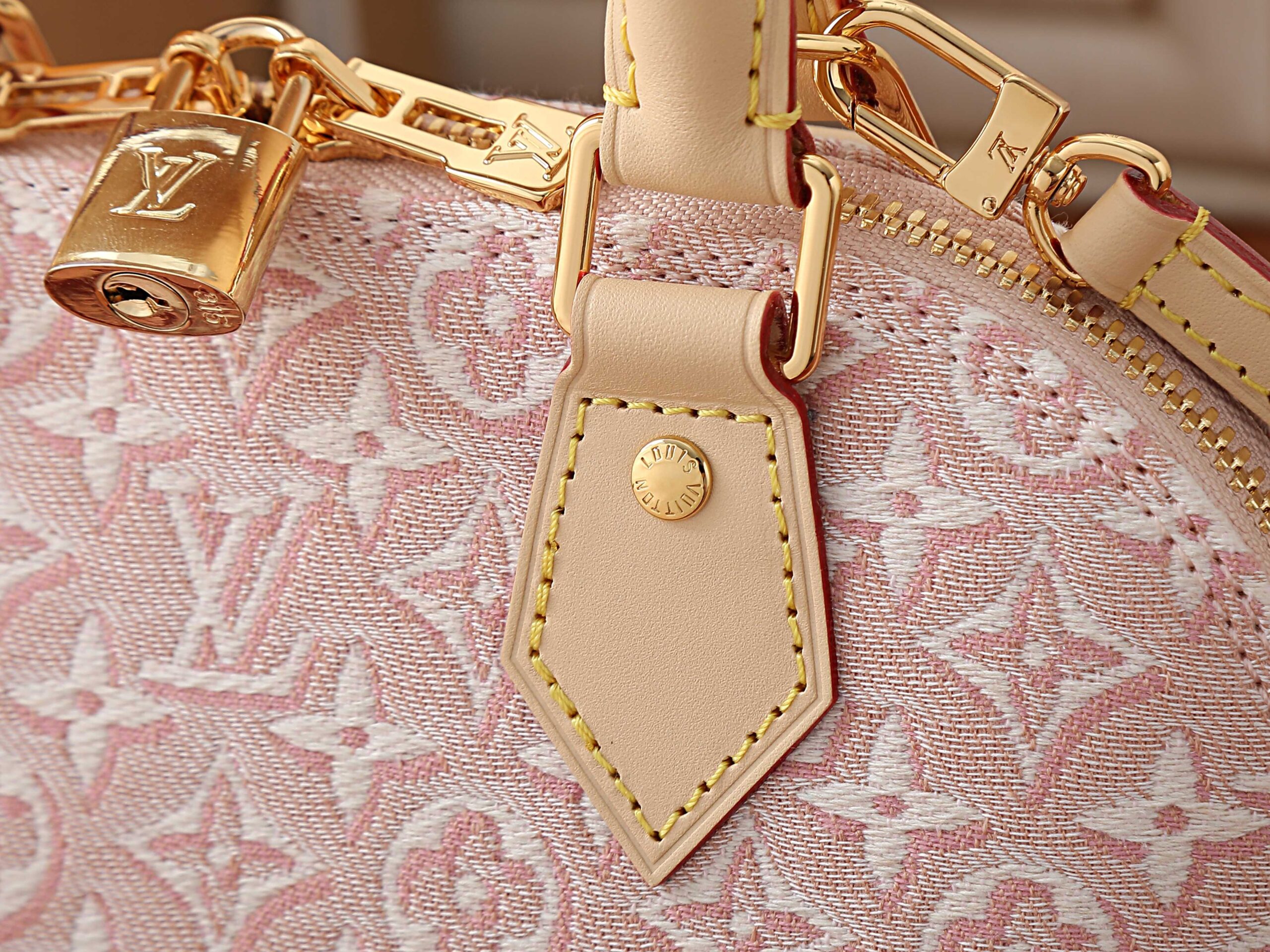 Louis Vuitton Alma BB Monogram Emblème Handbag - Image 5