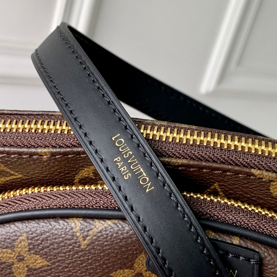 Louis Vuitton Monogram Belt Bag M14806 - Image 5