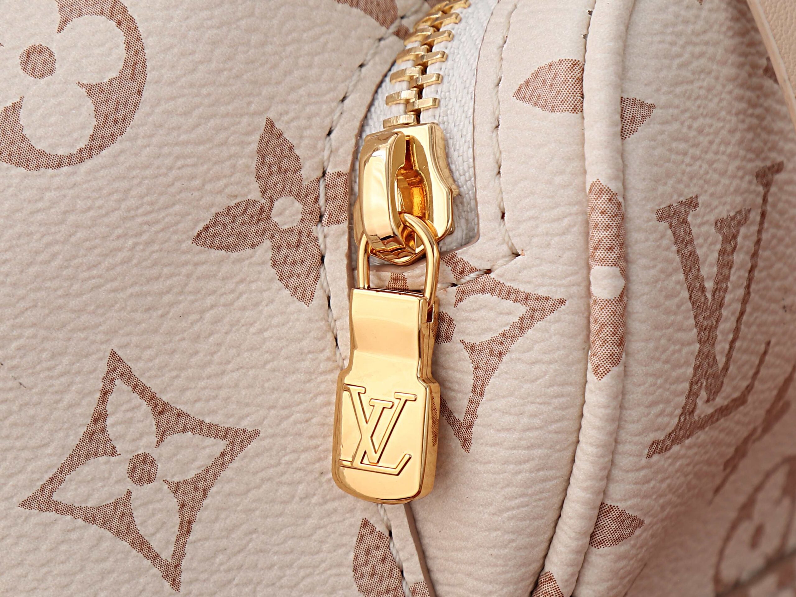 Louis Vuitton Montsouris Mini Backpack in Monogram Dune Canvas - Image 5