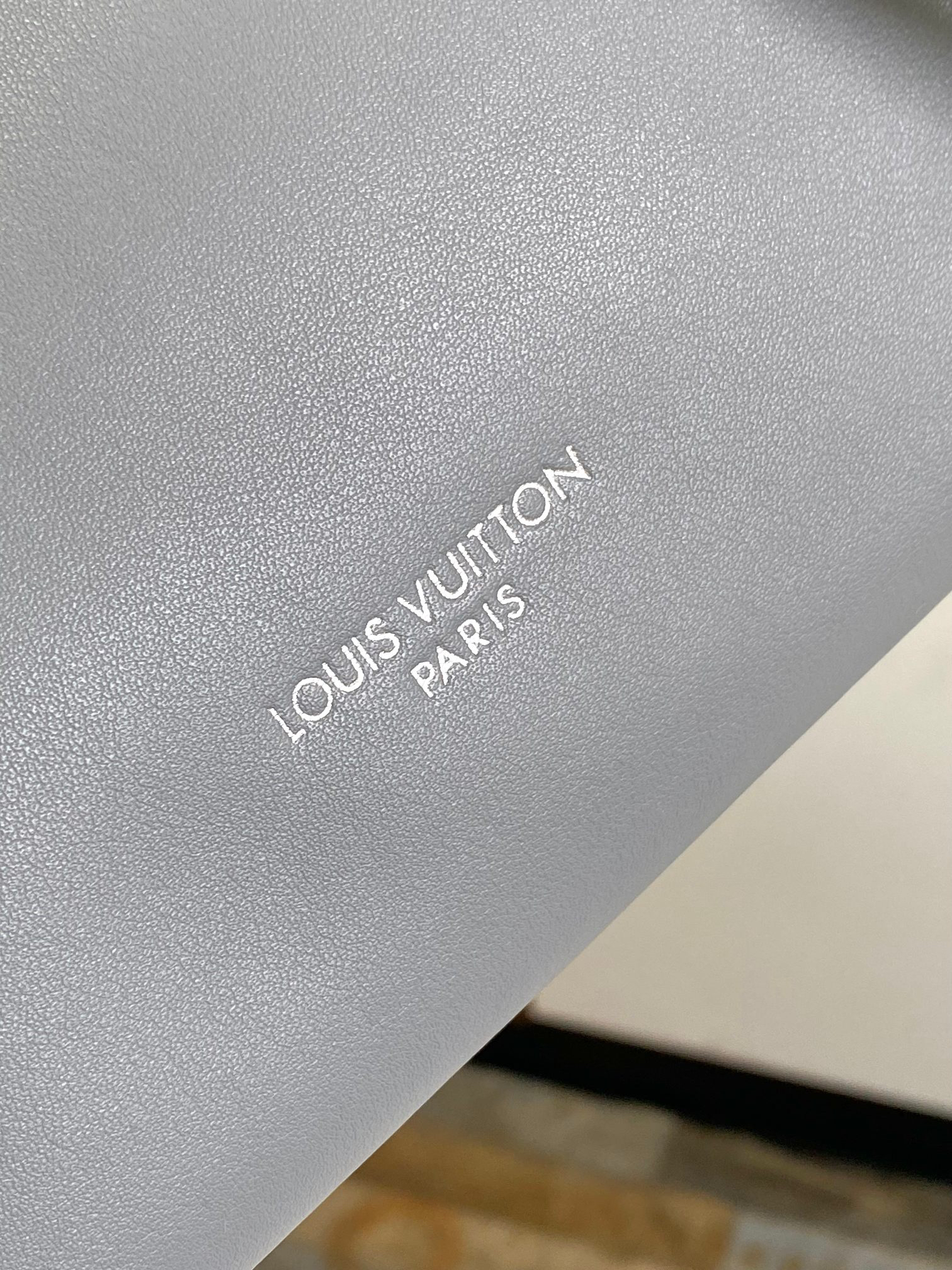 Louis Vuitton CarryAll Cargo Small Shoulder Bag in Gray Lambskin - Image 5