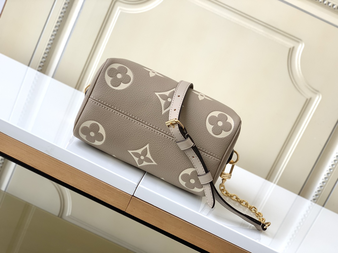 Louis Vuitton Speedy Bandoulière 20 Handbag - Image 5