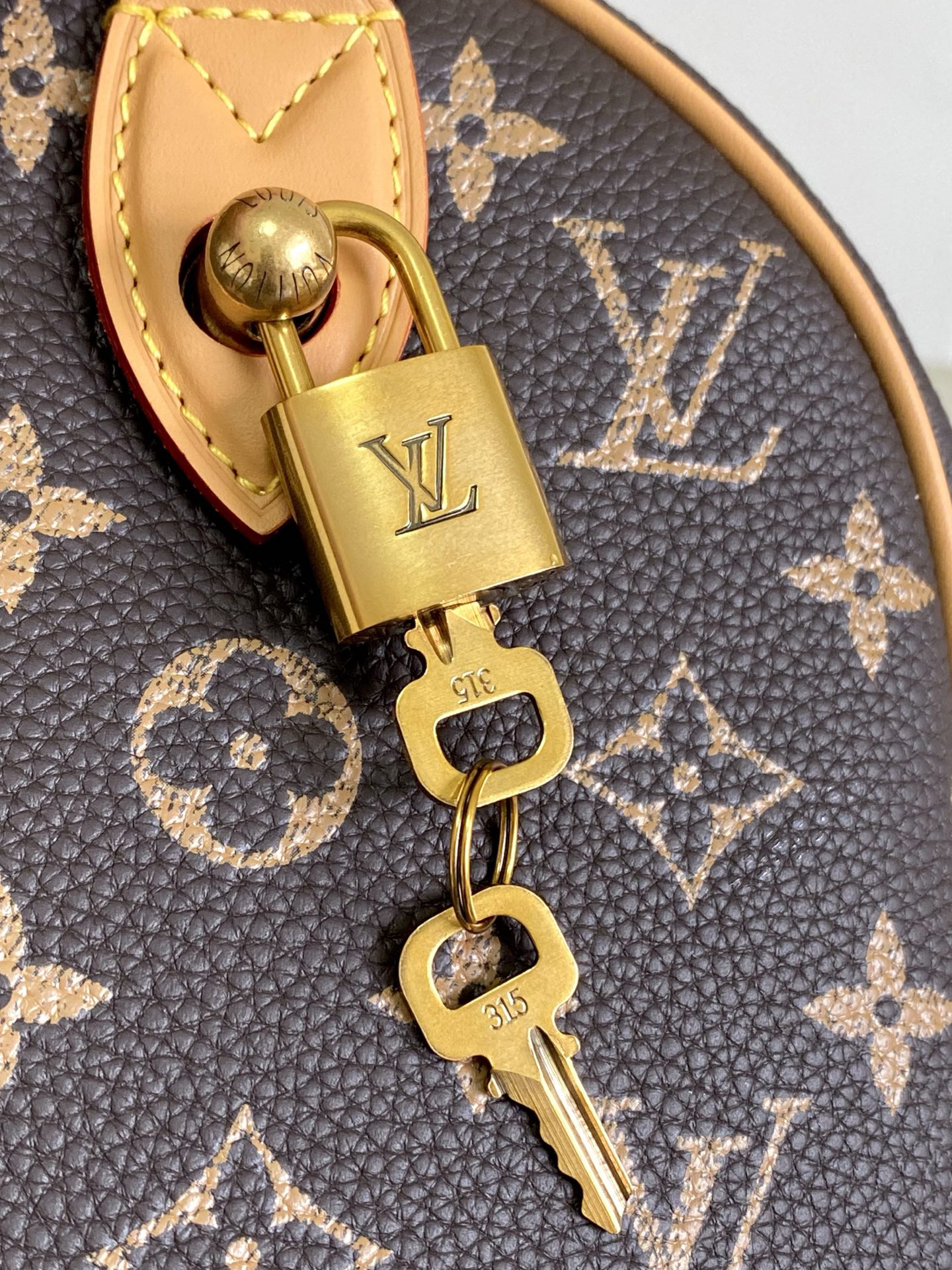 Speedy Bandoulière 25 Monogram Leather Crossbody Bag - Image 5