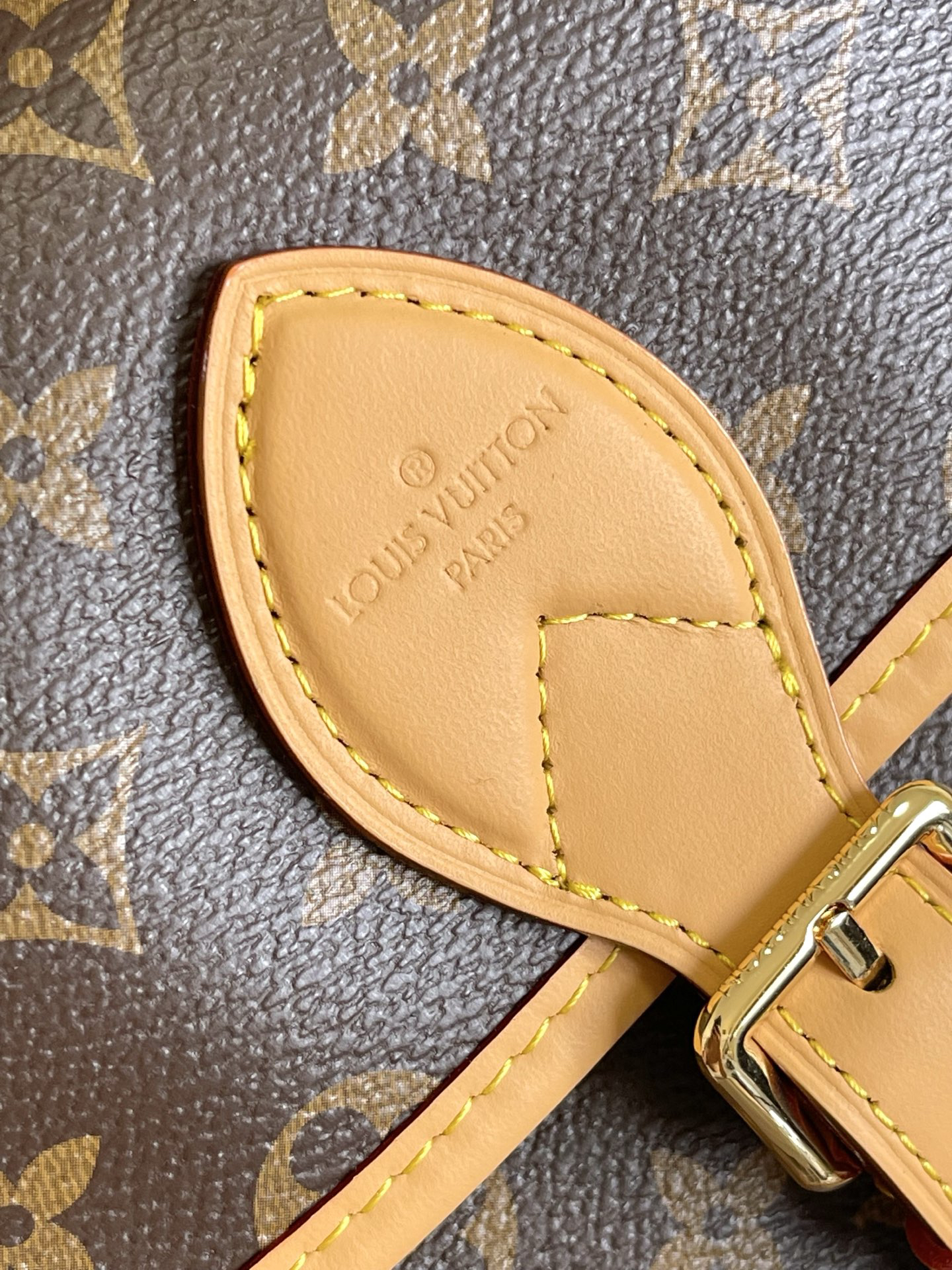 Diane Monogram Canvas Crossbody Bag - Image 5