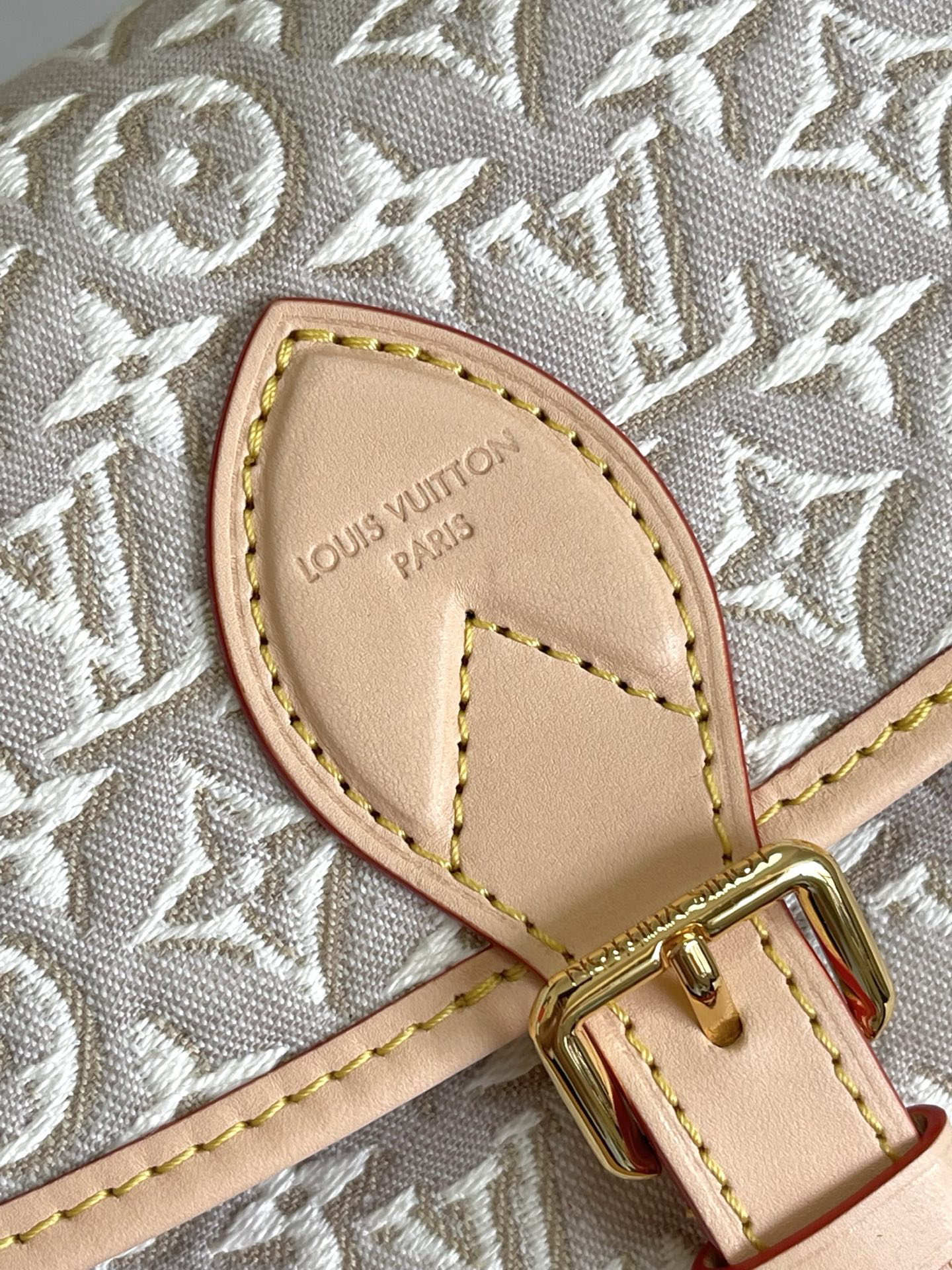 Louis Vuitton Diane M29795 Monogram Emblème Canvas Shoulder Bag - Image 5