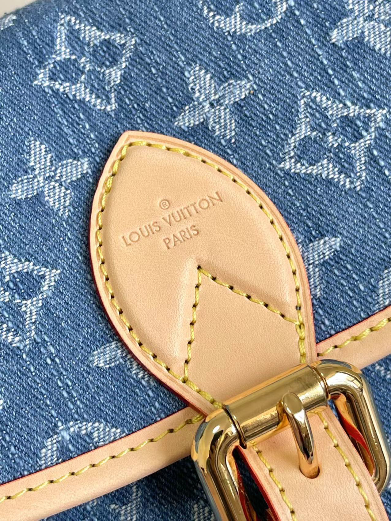 Louis Vuitton Diane Denim Crossbody Bag - Image 5