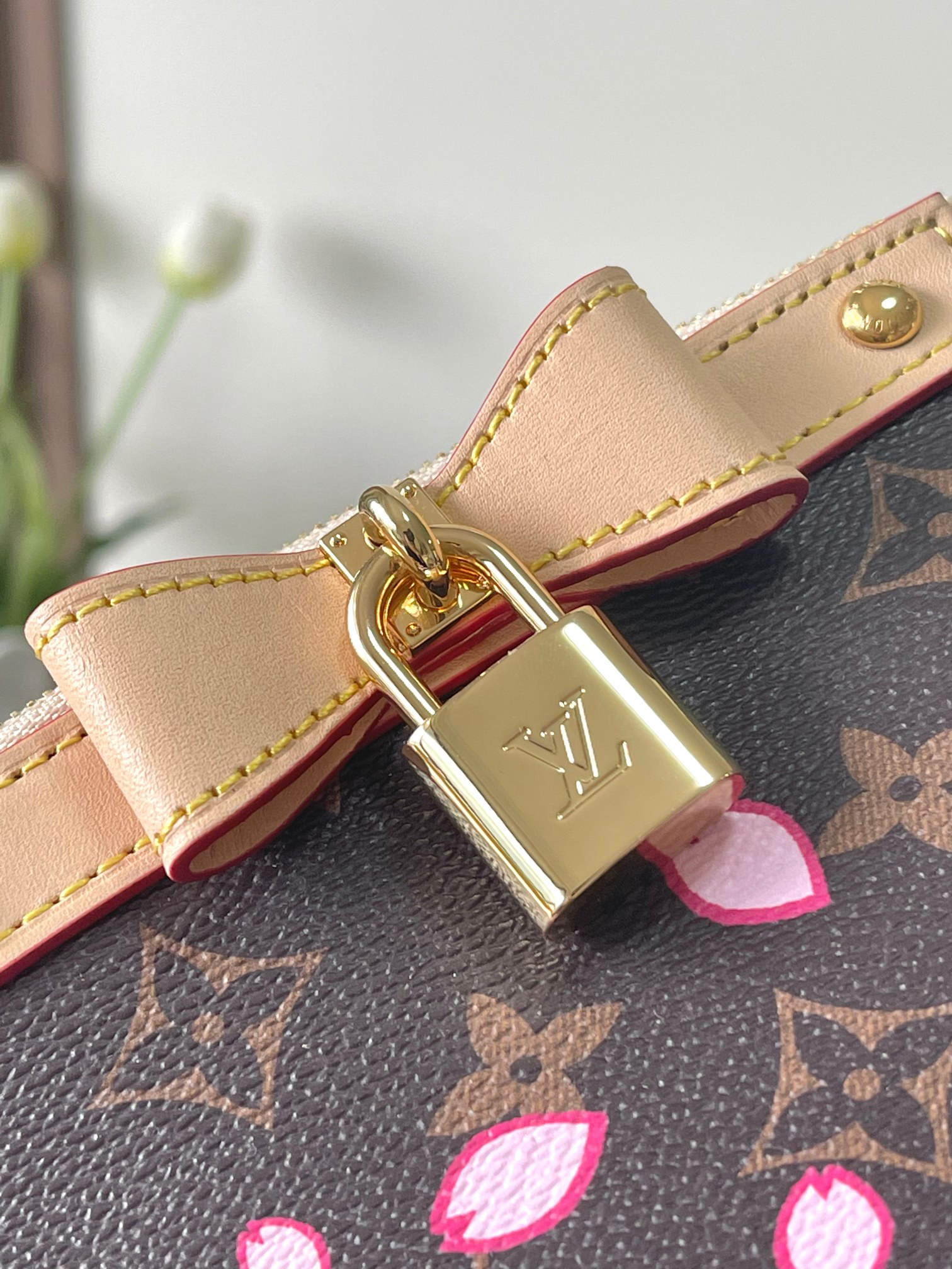 Louis Vuitton Pochette Accessoires Cherry Blossom Shoulder Bag M13666 - Image 5