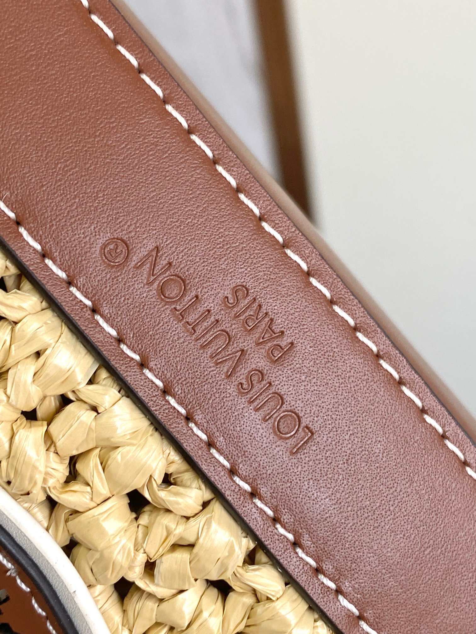 Louis Vuitton Noé BB Woven Raffia Bucket Bag - Image 5