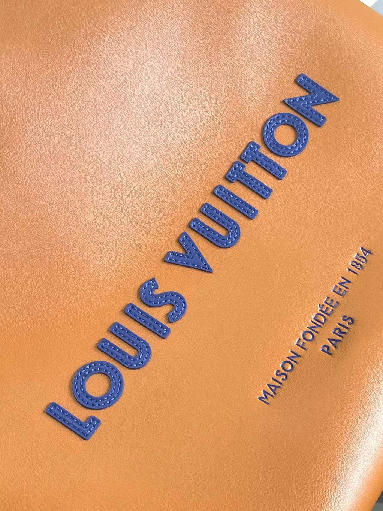Louis Vuitton Leather Handbag M24457 - Image 5