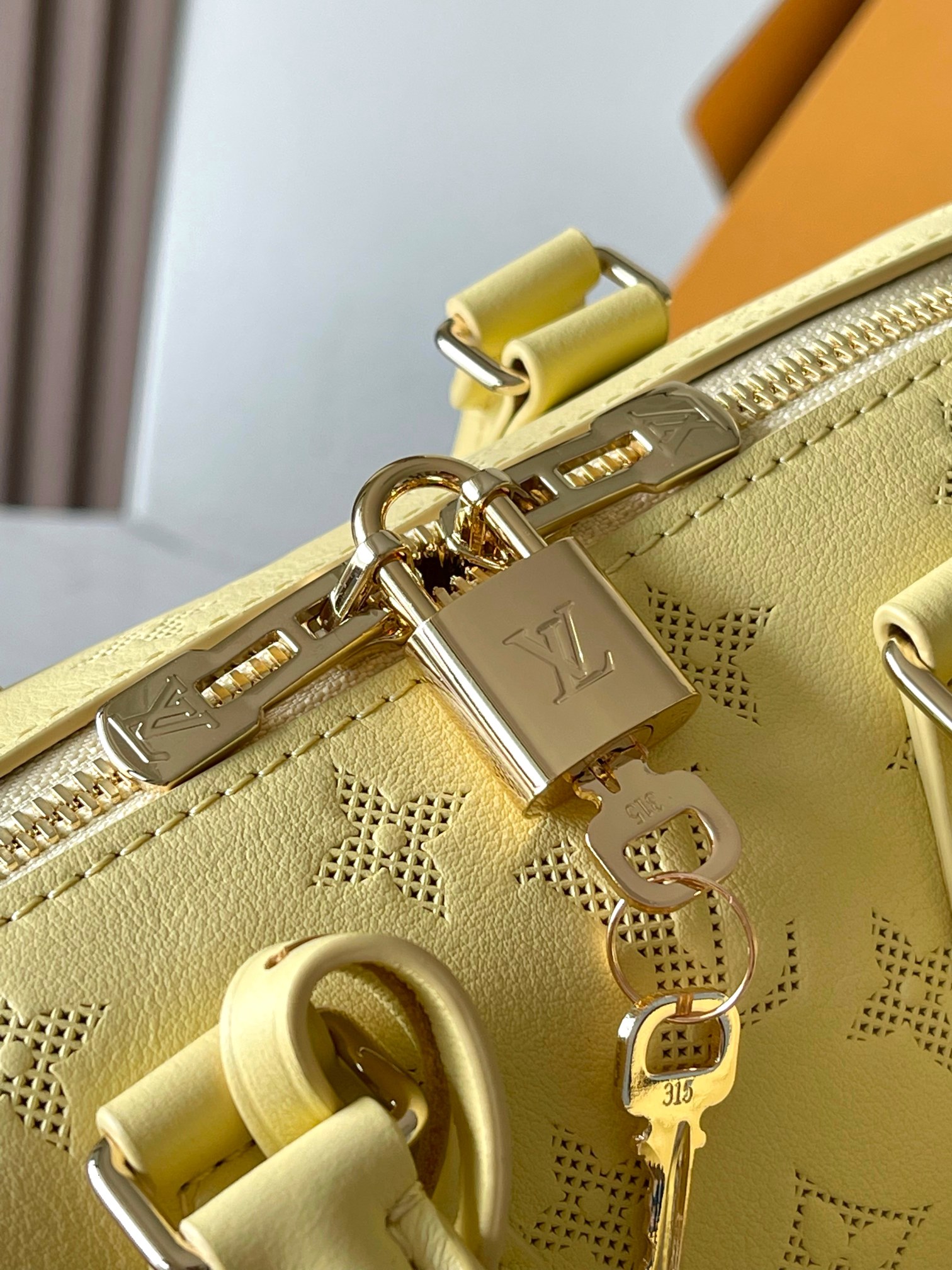 Speedy Bandoulière 20 Handbag - Image 5