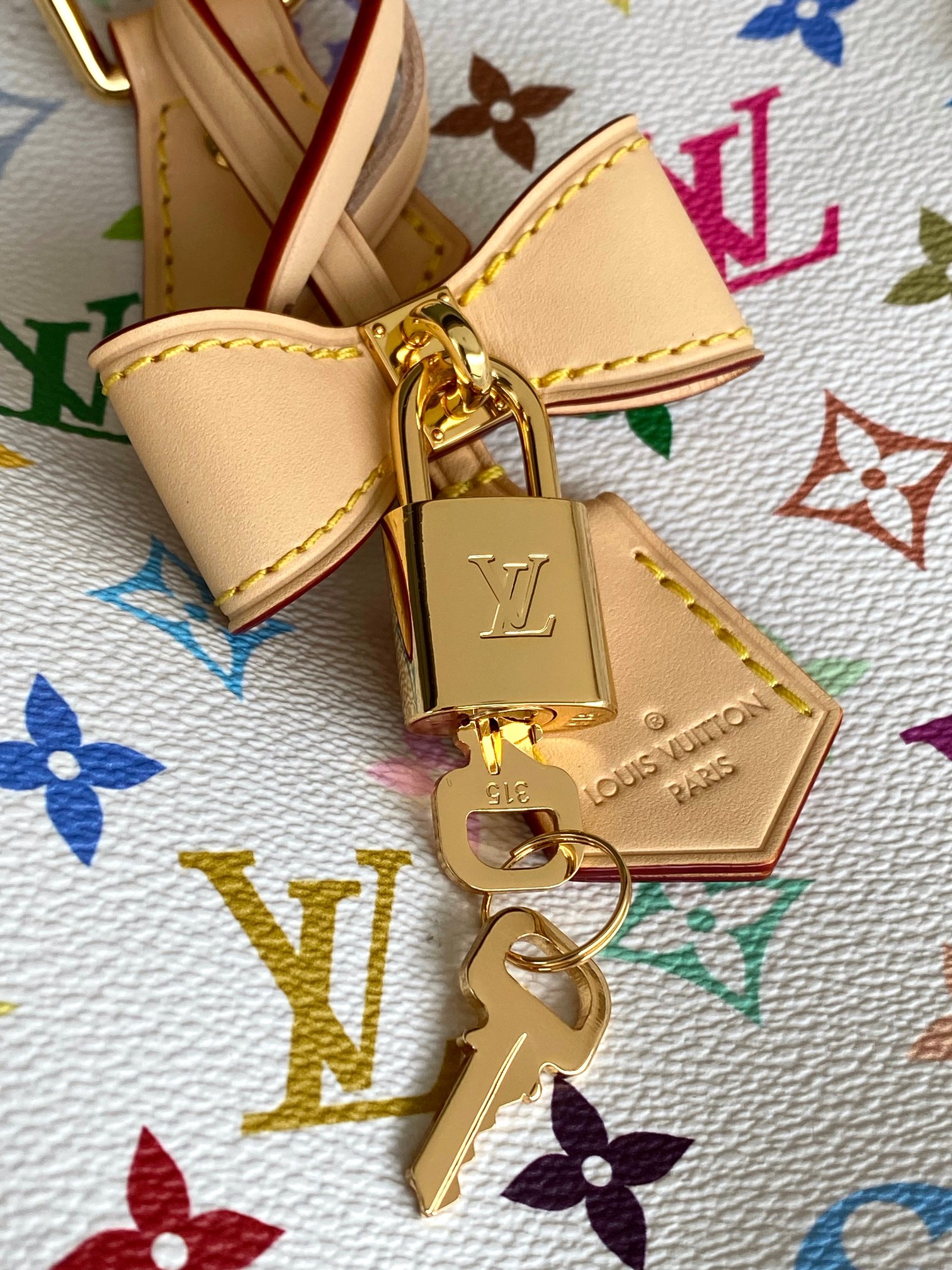 Speedy Bandoulière 25 Handbag - Image 5