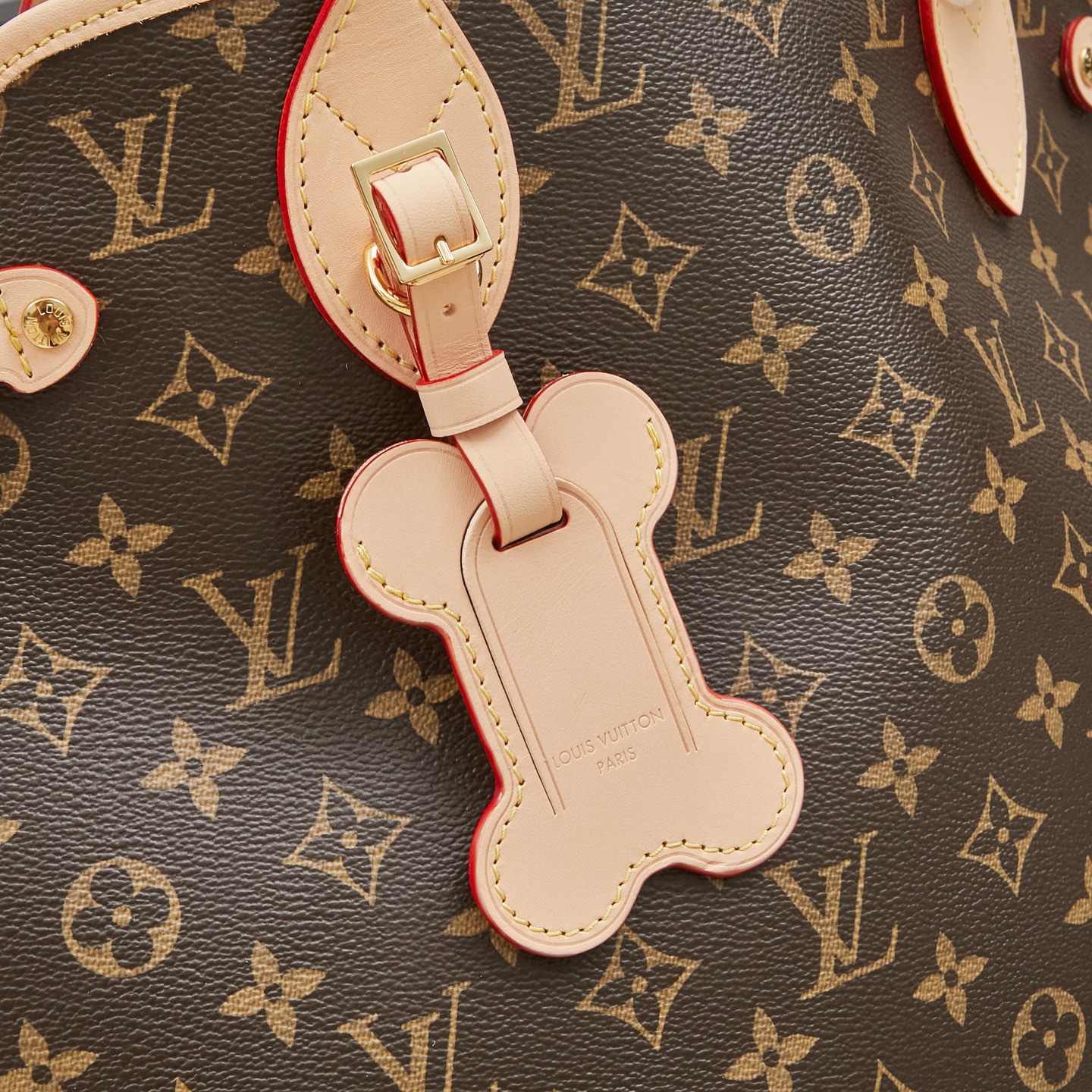 Louis Vuitton Neverwoof Medium Pet Carrier in Monogram Coated Canvas - Image 5